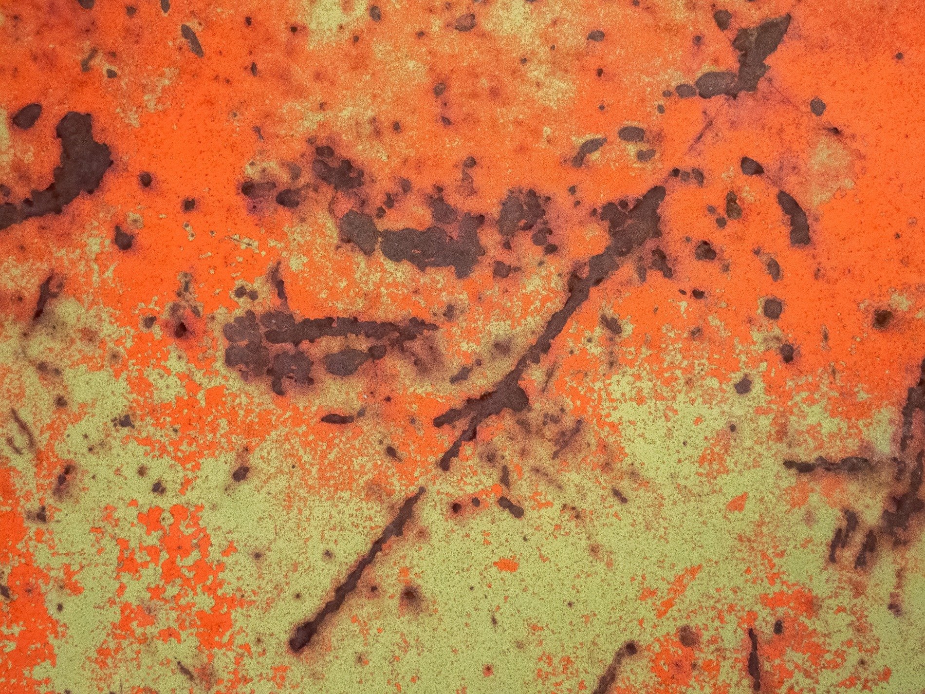 Orange fields meet green, dark trails trace the heavy skin, grit marks the finish