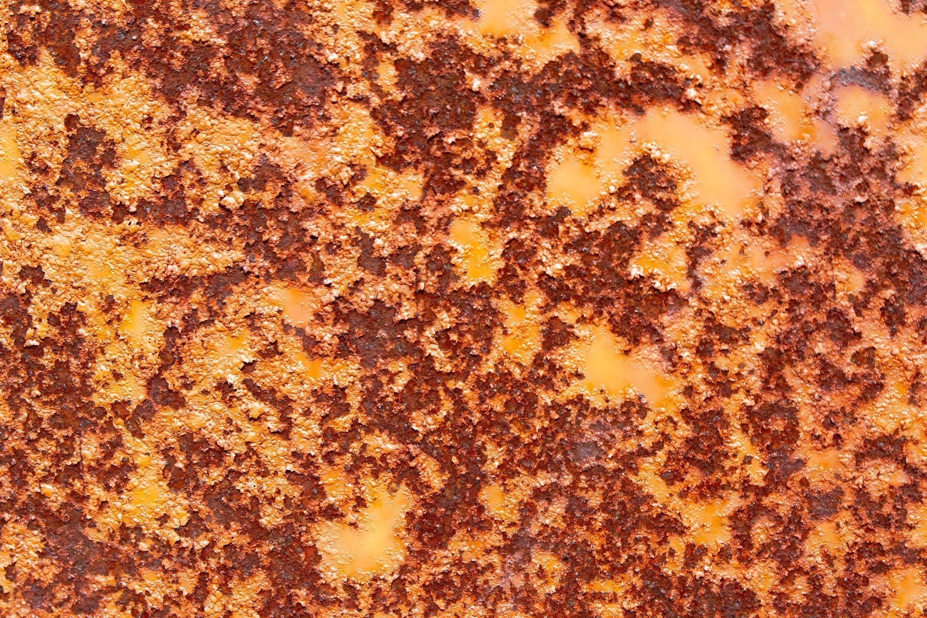 Orange flakes away, iron turns to crusty red, time consumes the steel