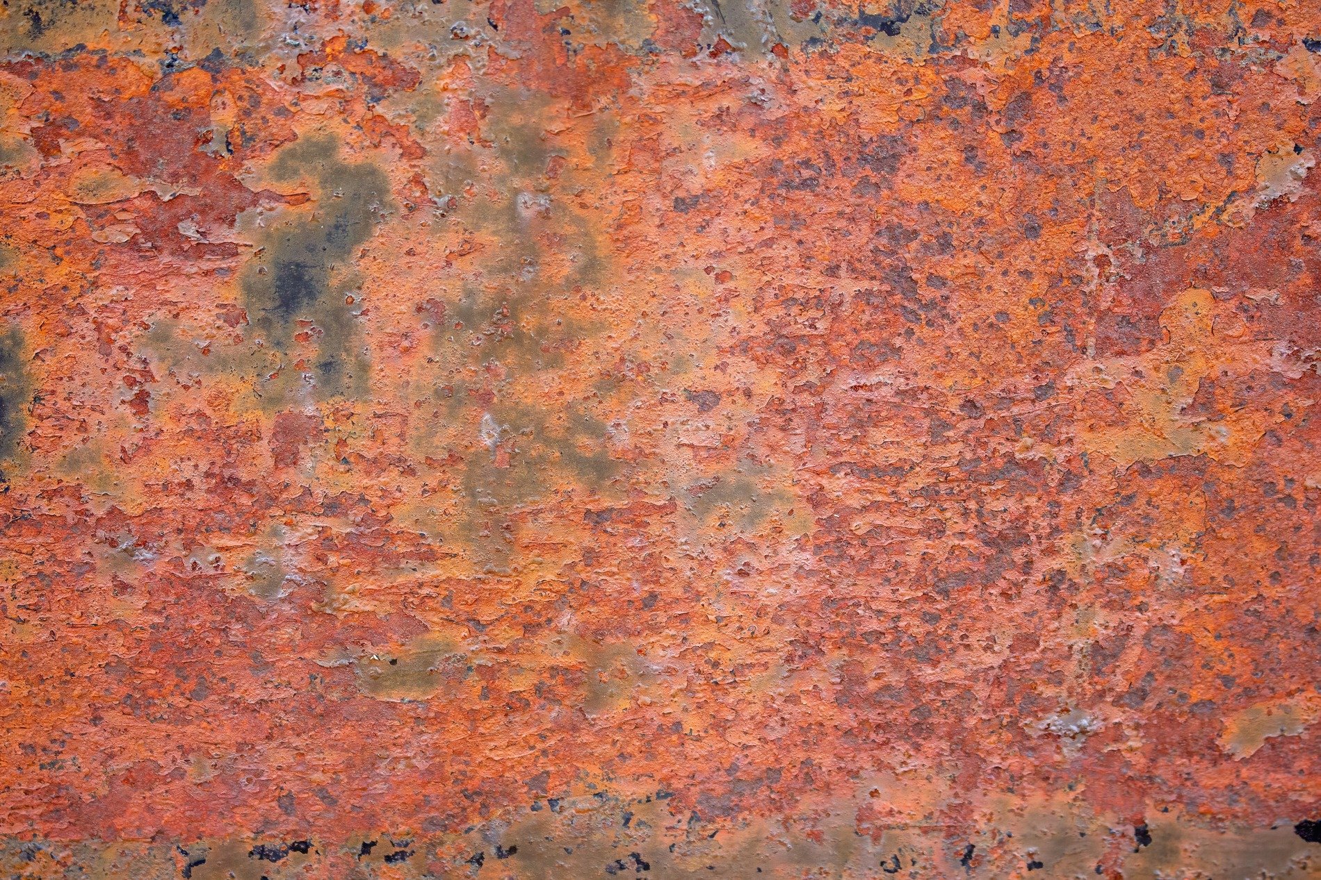 Orange flakes of age, oxidation claims the iron, steel returns to earth