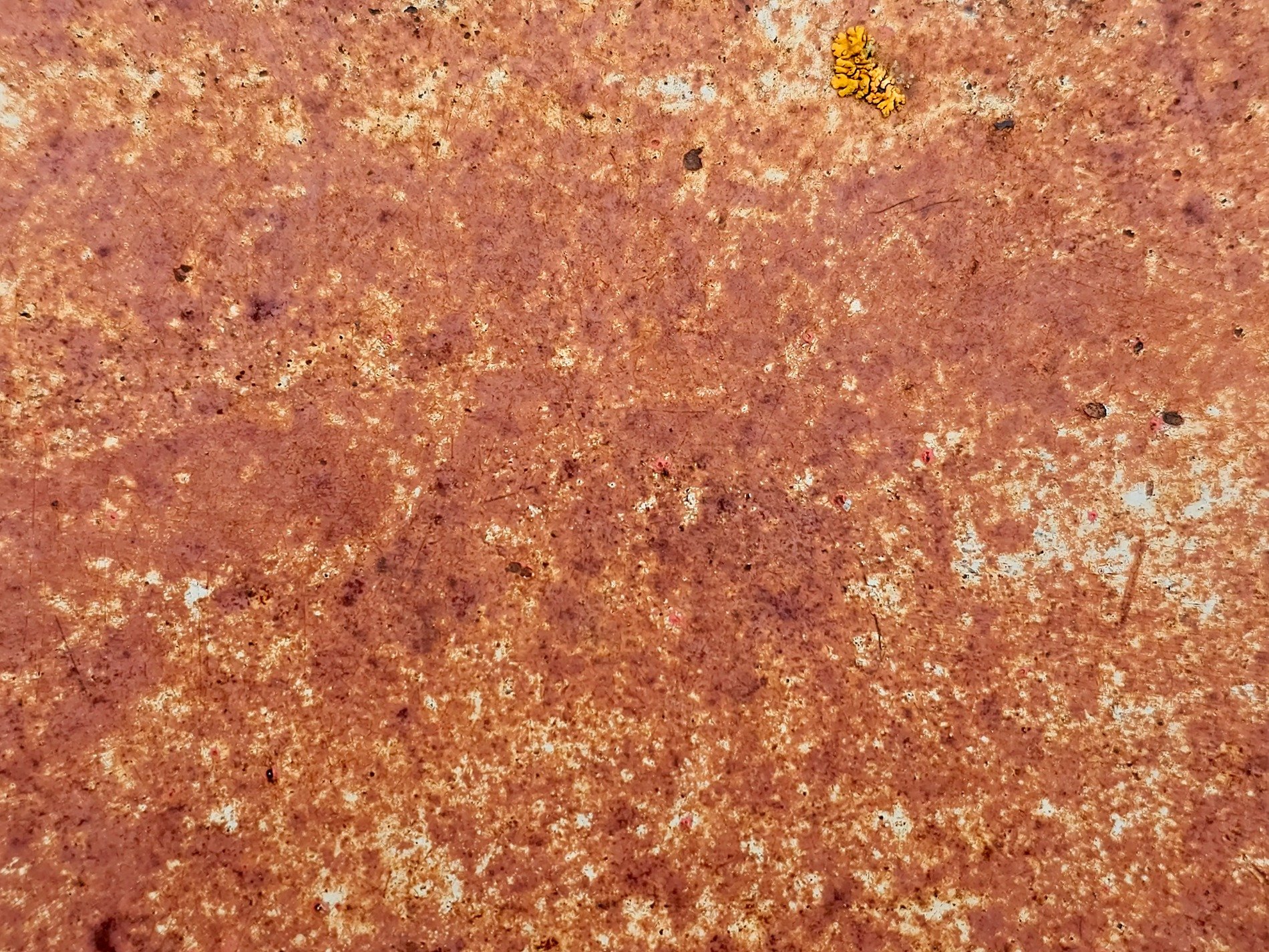 Orange flakes of iron, lichen clings to ancient steel, time eats through the wall