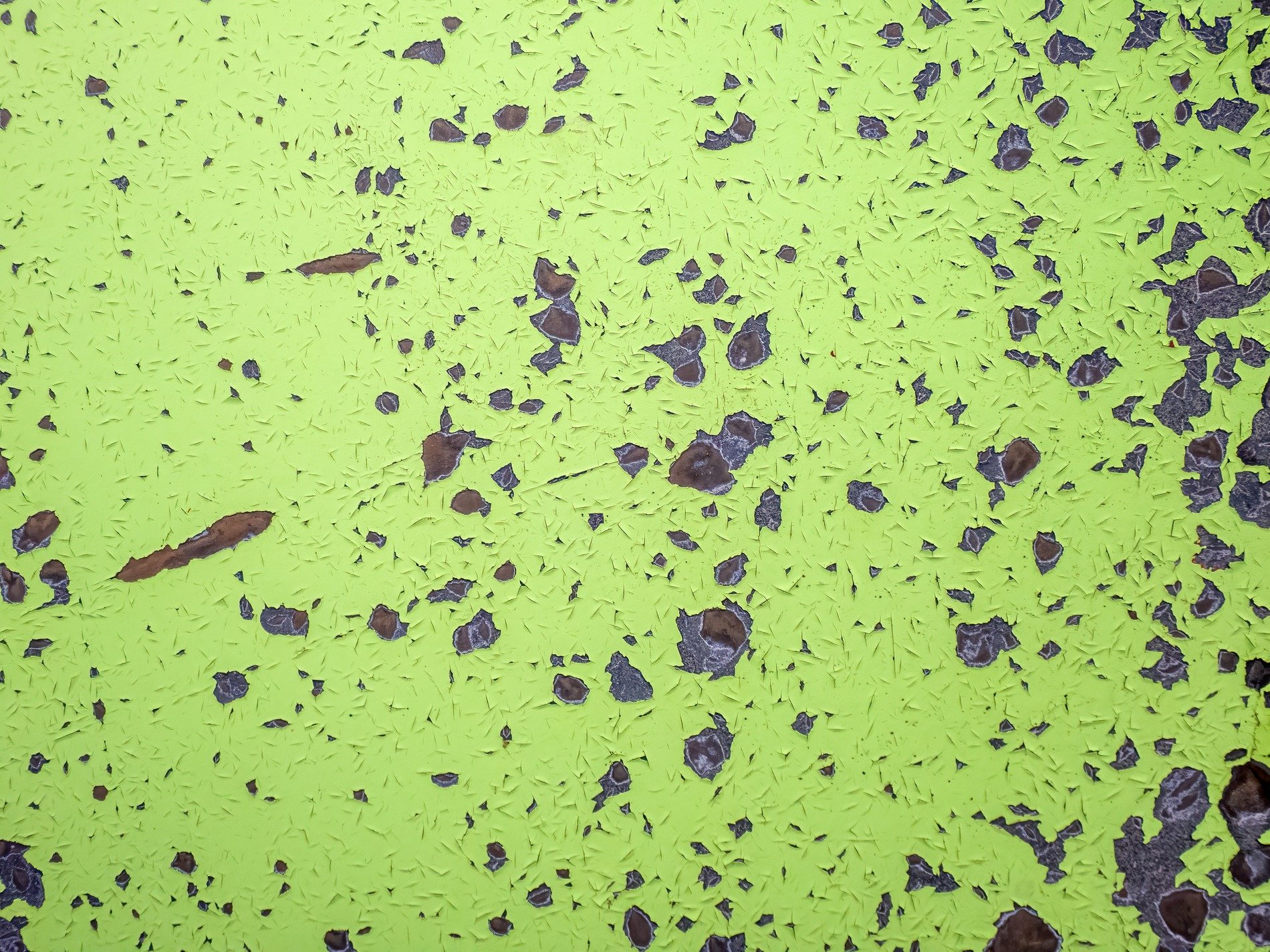 Bright green skin flakes off, dark earth breaks the neon shell, time chips at the wall