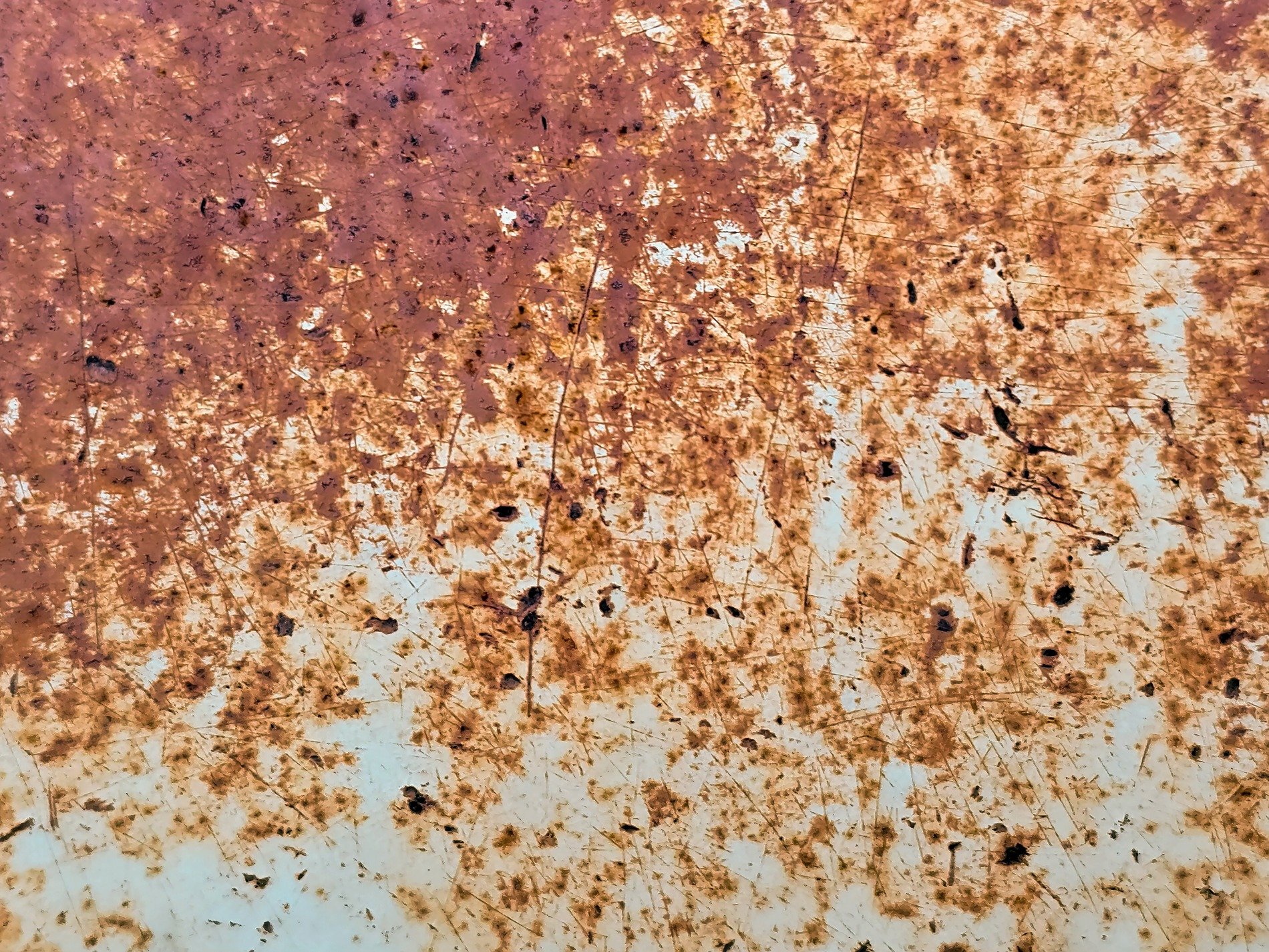 Orange iron blooms, scratches etch the fading white, decay claims the plate