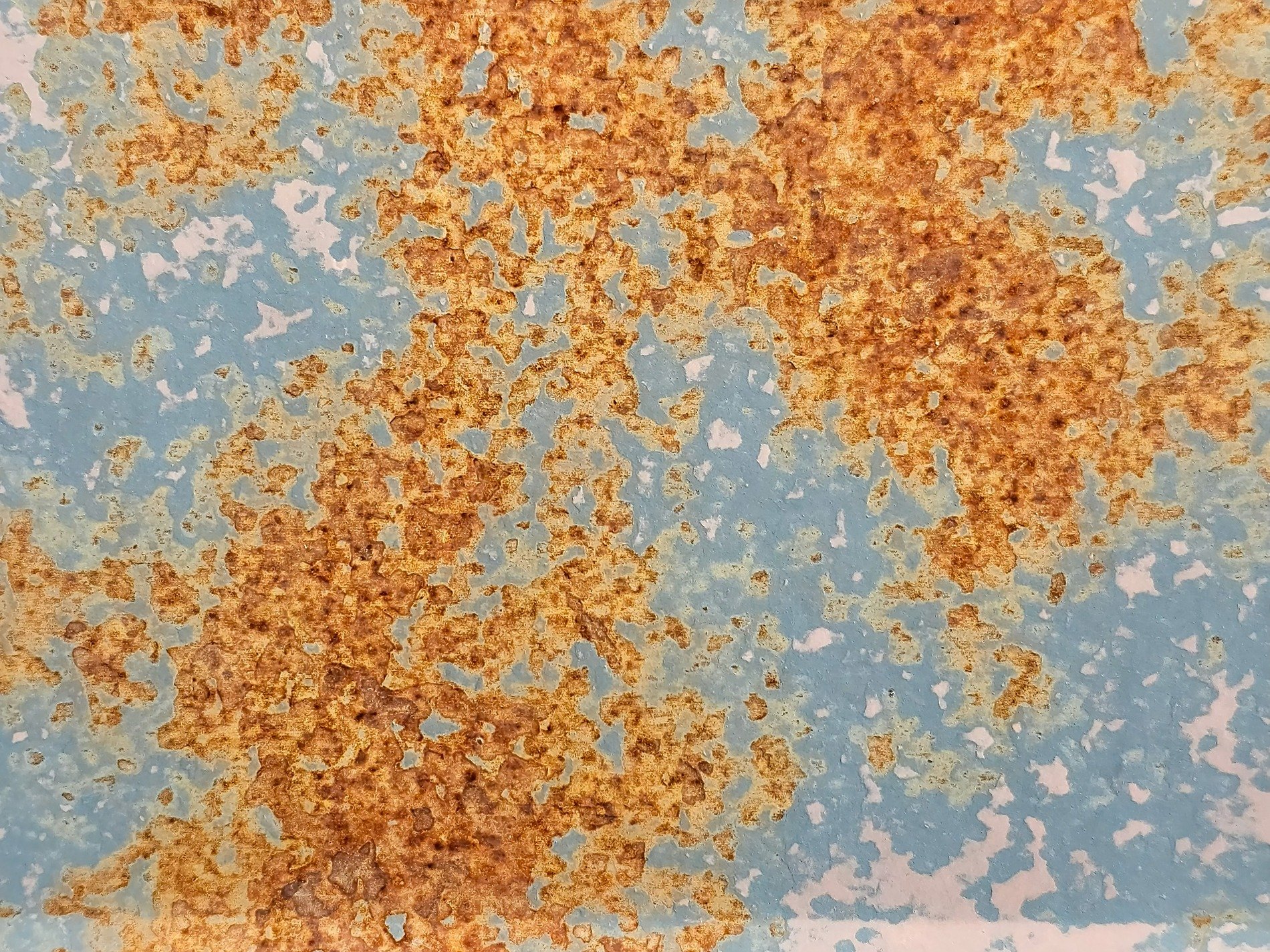 Orange rust blooms wide, blue paint flakes from metal skin, time carves out the mark