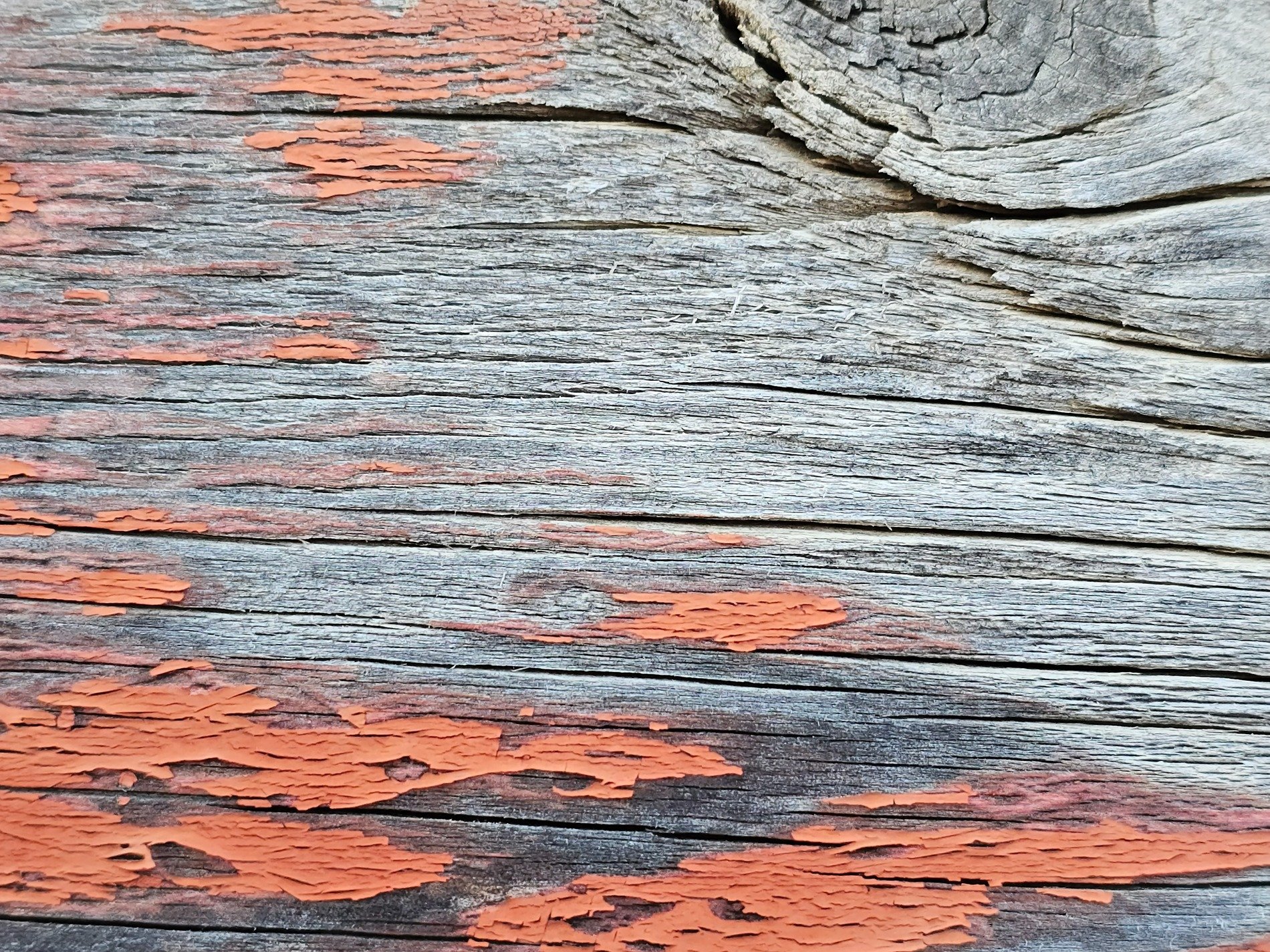 Orange strips lift up, deep grain carves the heavy field, weather claims the skin