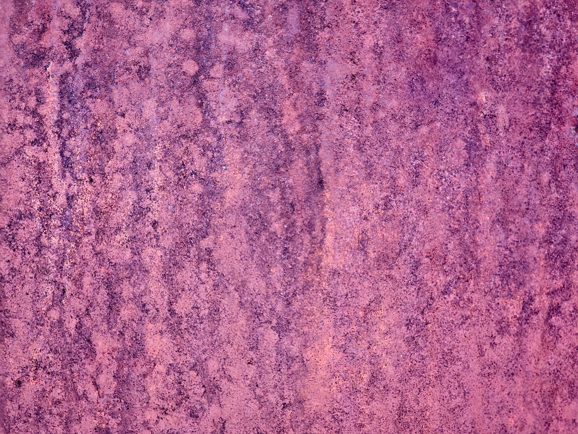 Paint skin flakes away, orange grit claims the metal, years leave a deep trace