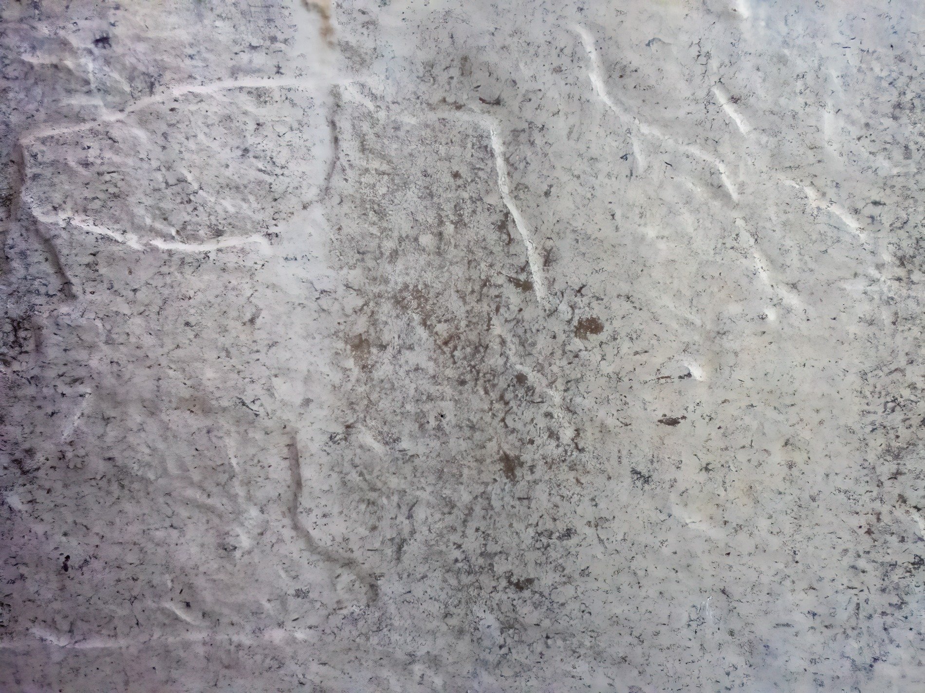 Pale grey stone surface, veins trace paths through mottled dust, cold hard texture waits
