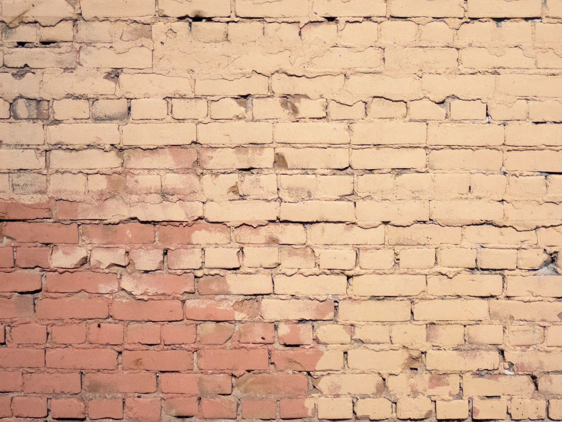 Pale paint coats the clay, rosy hues bleed through the cracks, time erodes the wall