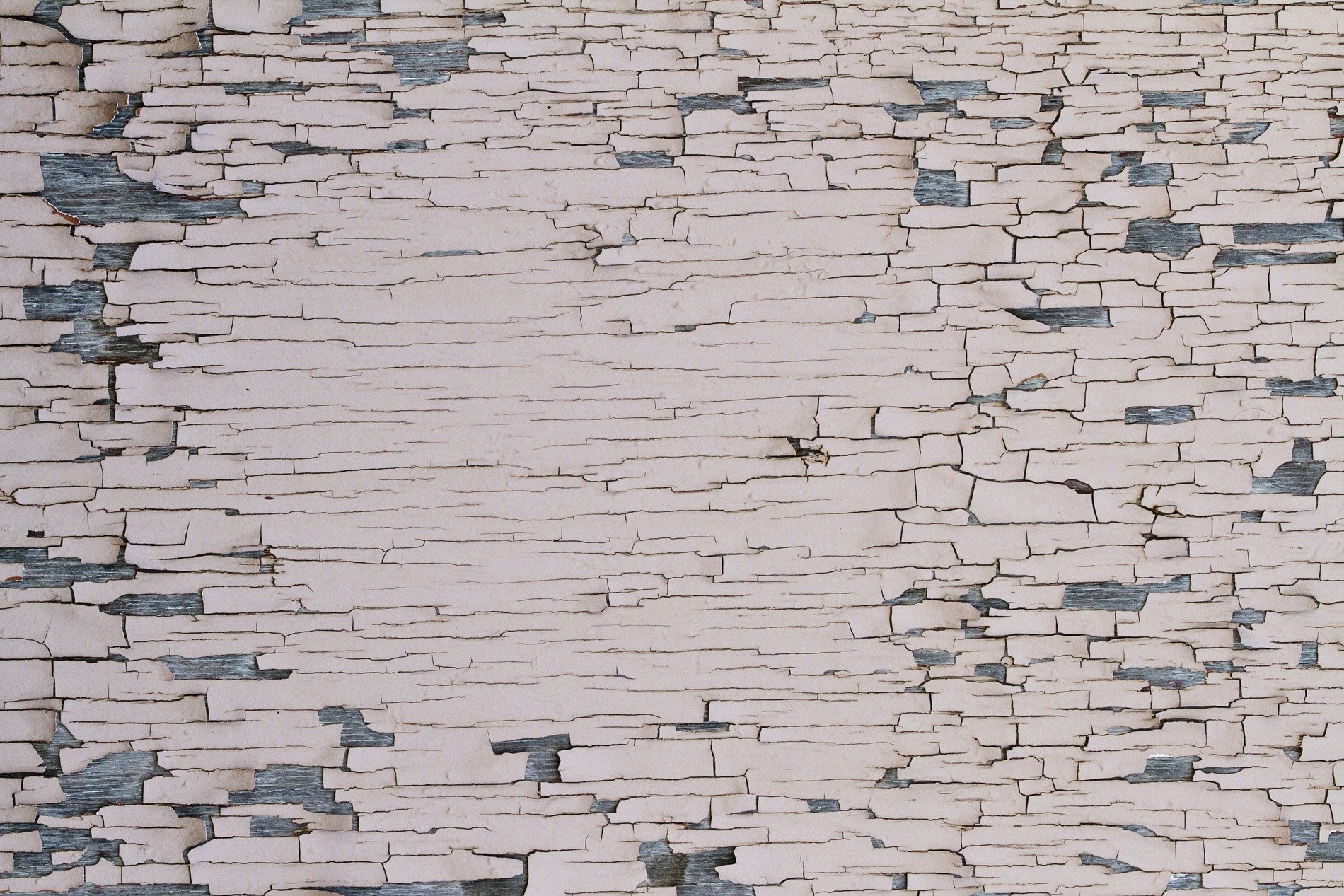 Pale paint starts to curl, grey wood peeks through jagged lines, age reveals the core