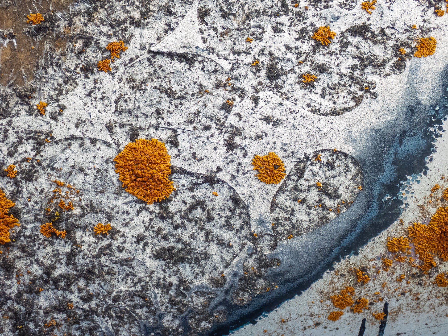 Pale pits mark the skin, jagged shadows trace the field, light catches the grit