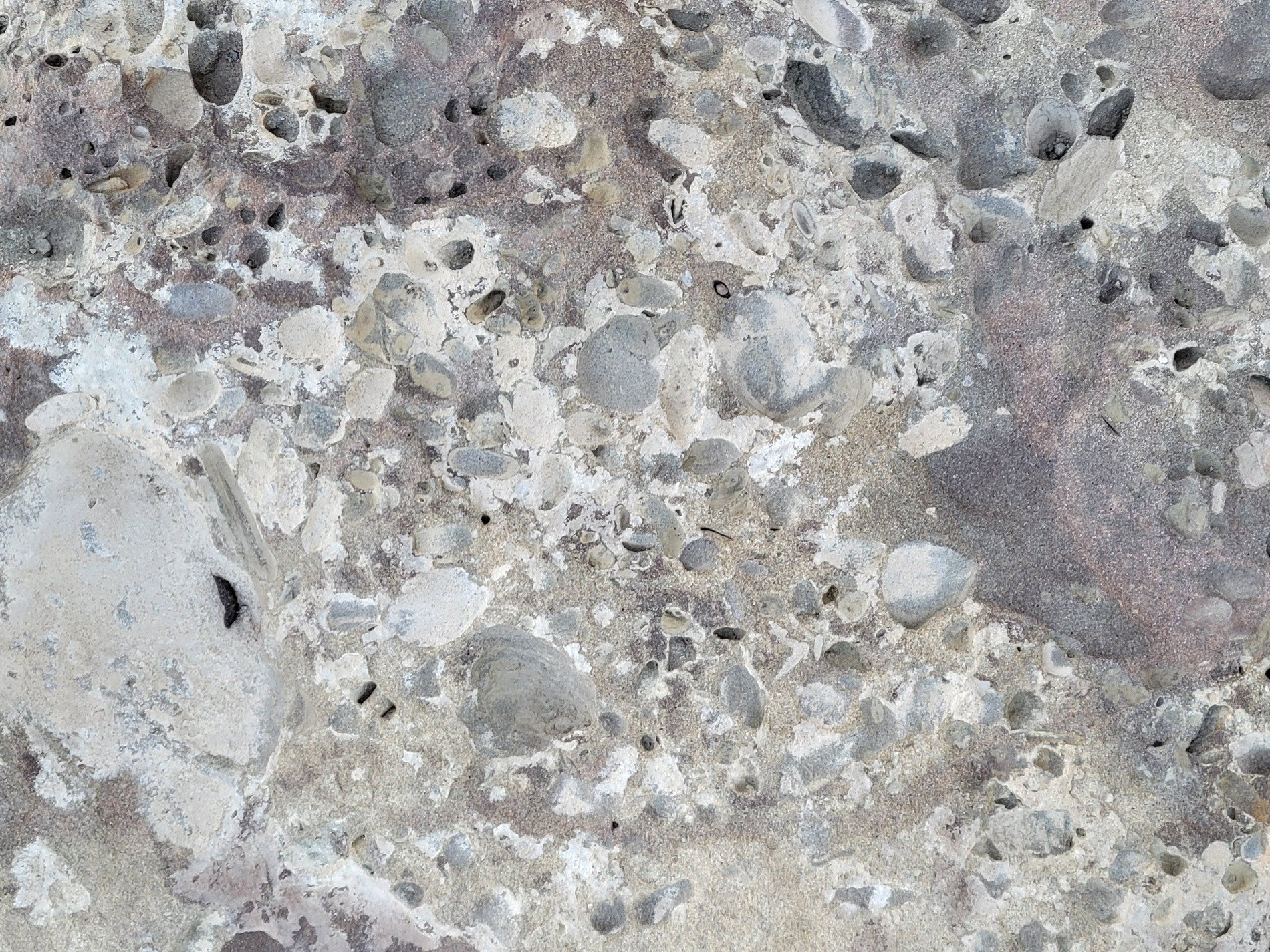 Pebbles fused in earth, eroded face tells the tale, ancient stone remains