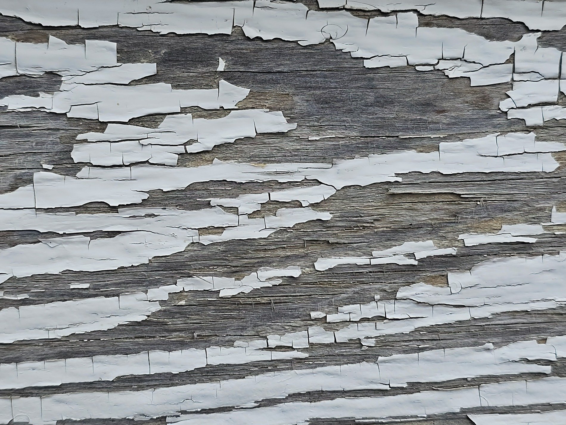 Peeling paint reveals, weathered wood with silver grain, naked wood remains