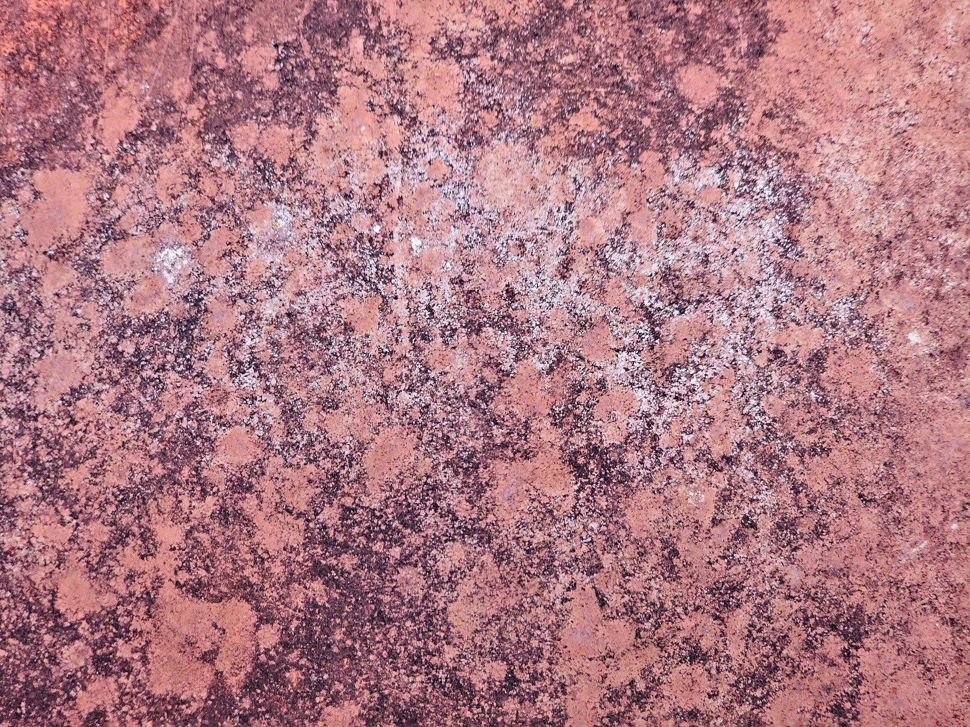 Pink grit claims the field, dark paths trace the heavy skin, time marks the surface