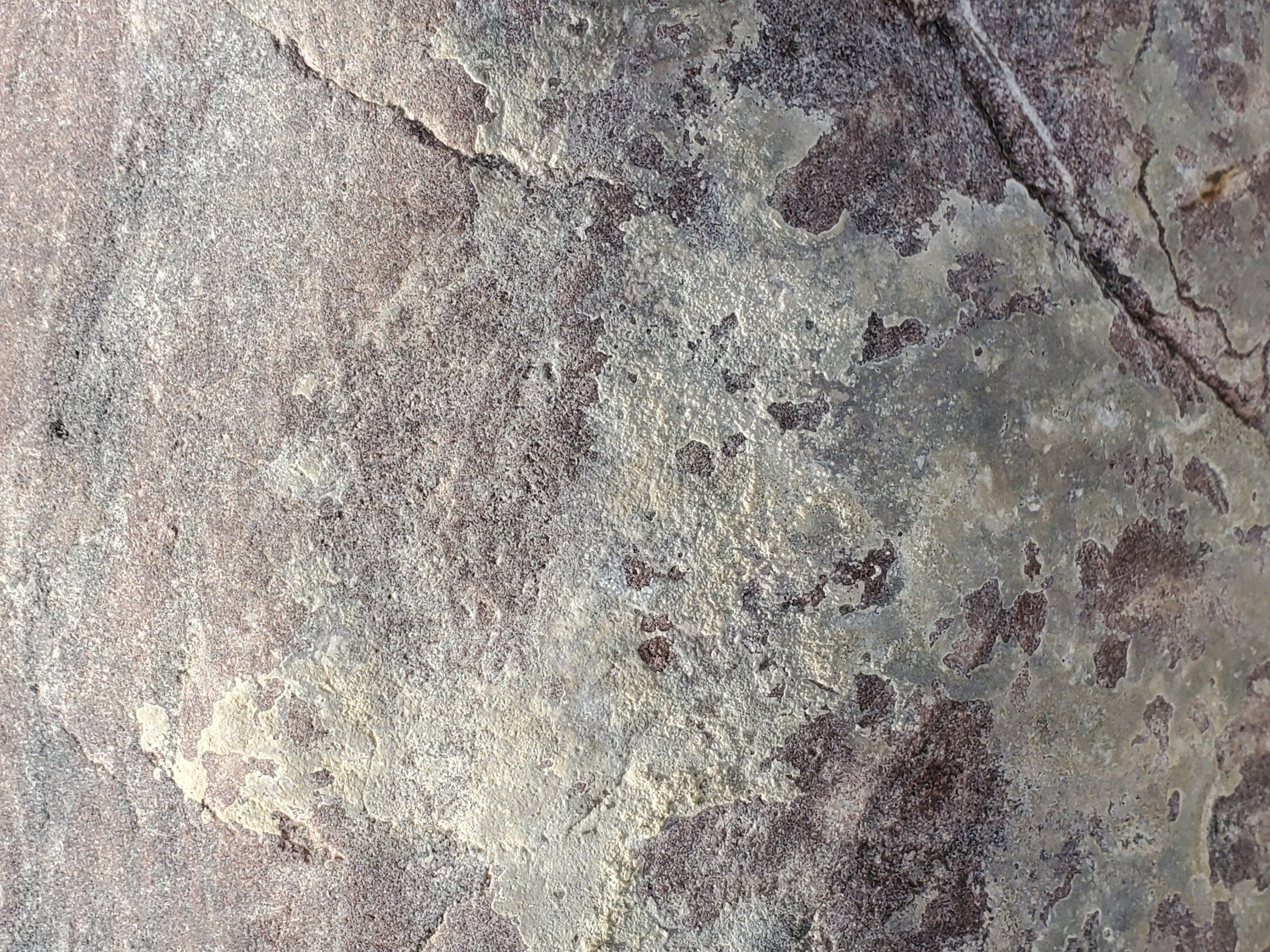 Pink stone wears the dust, ancient cracks divide the face, textures etched in time