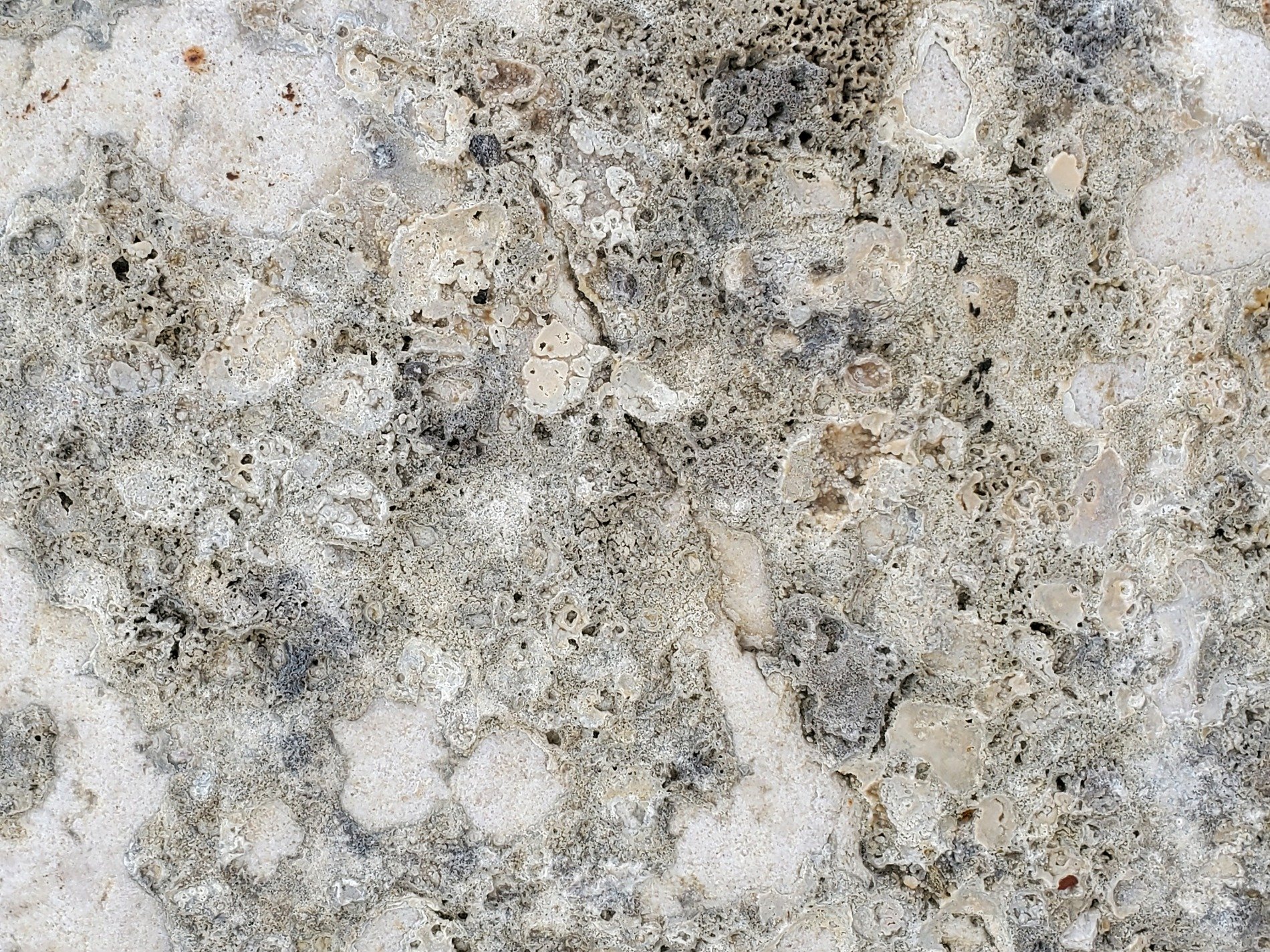 Porous stone remains, ancient layers of the earth, time is etched in dust