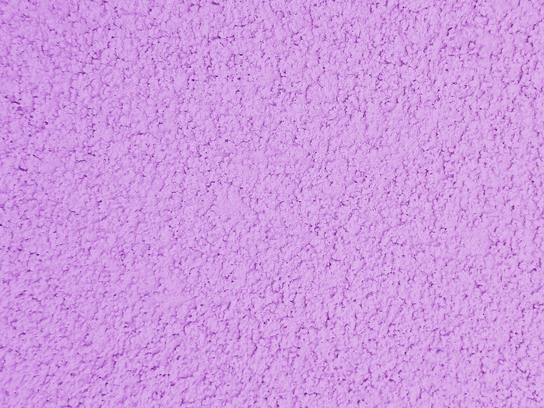 Purple grains arise, textured wall in lilac paint, morning shadows dance