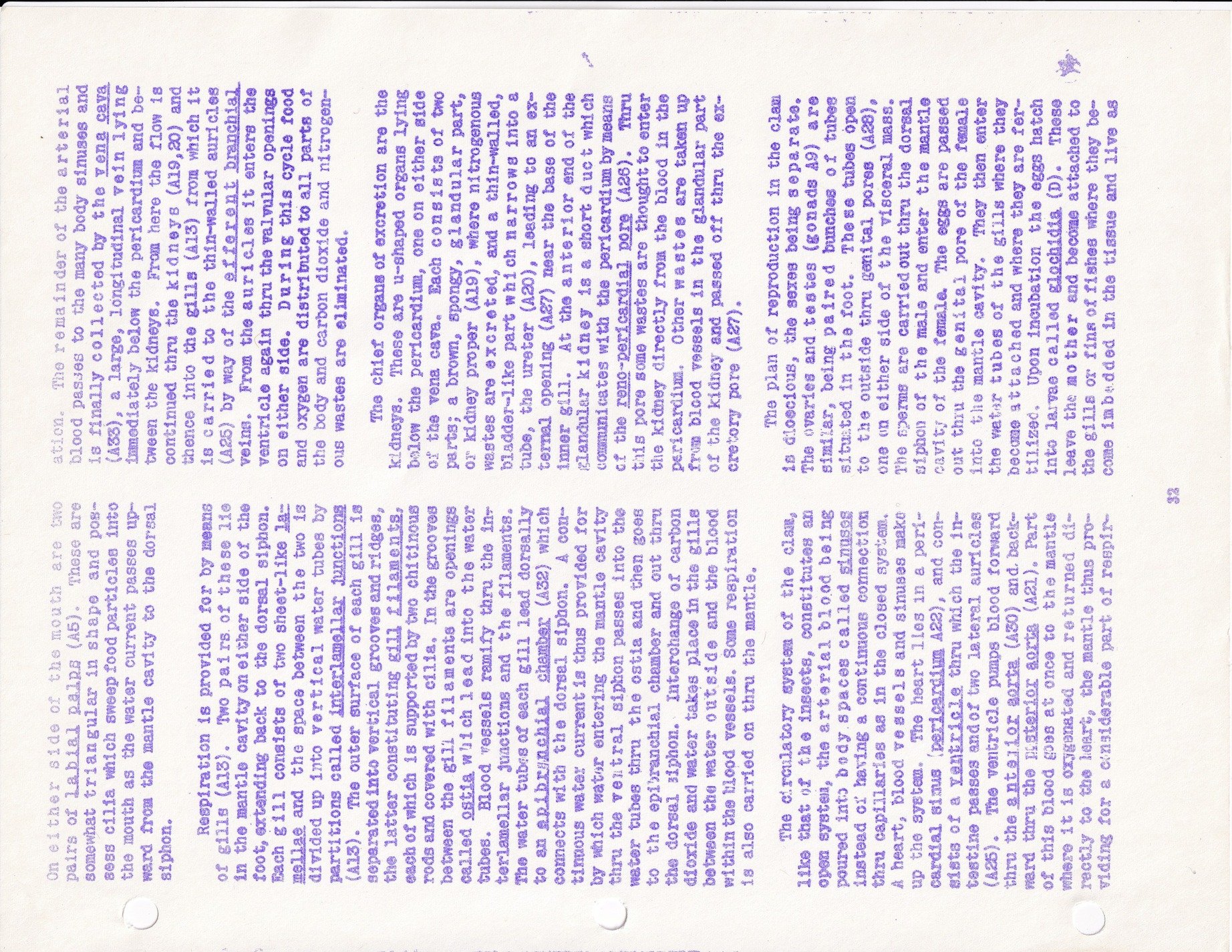 Purple ink on page, clam biology explained, science fills the lines