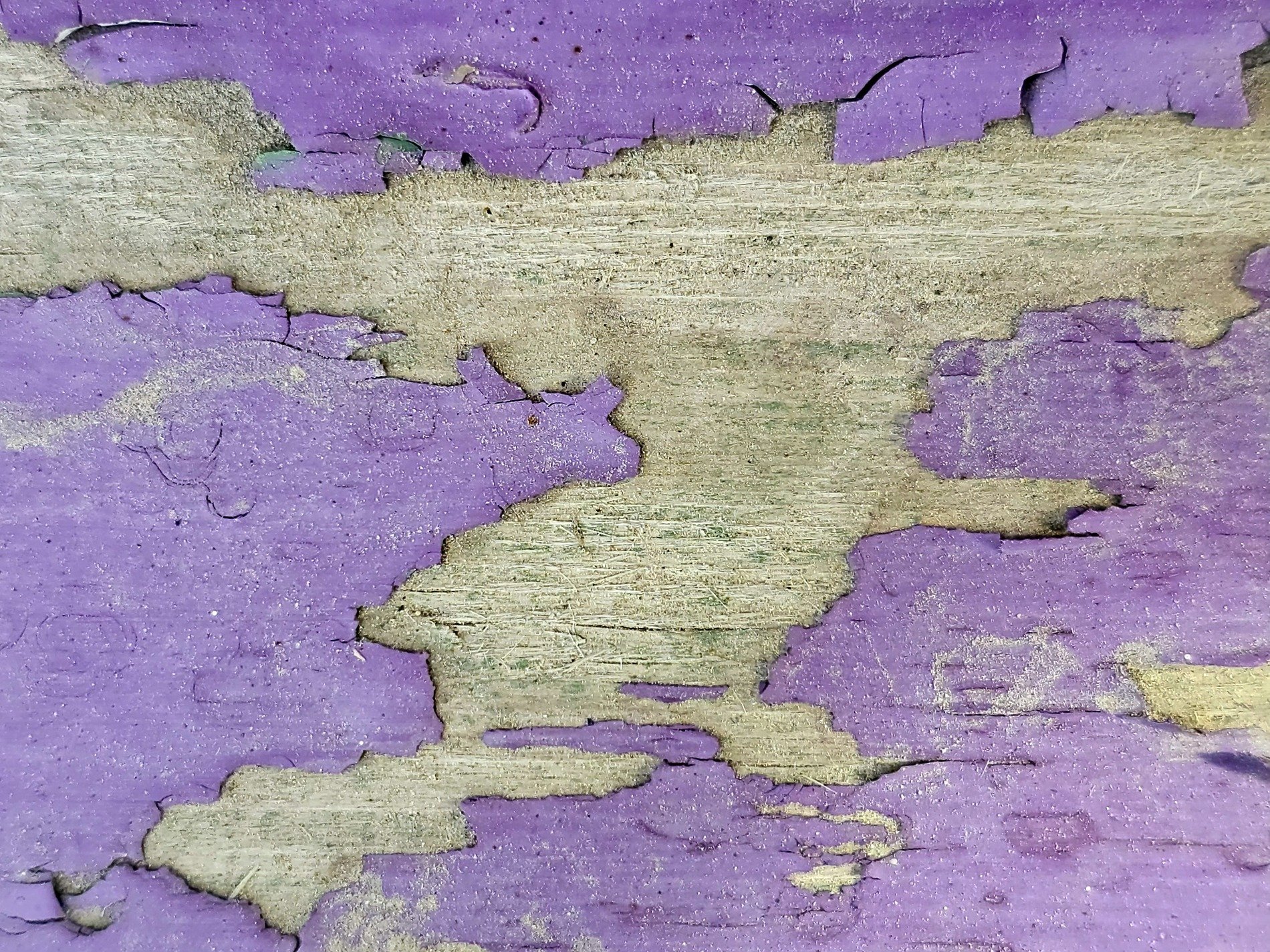 Purple paint flakes off, weathered grain beneath the skin, time peels back the layers