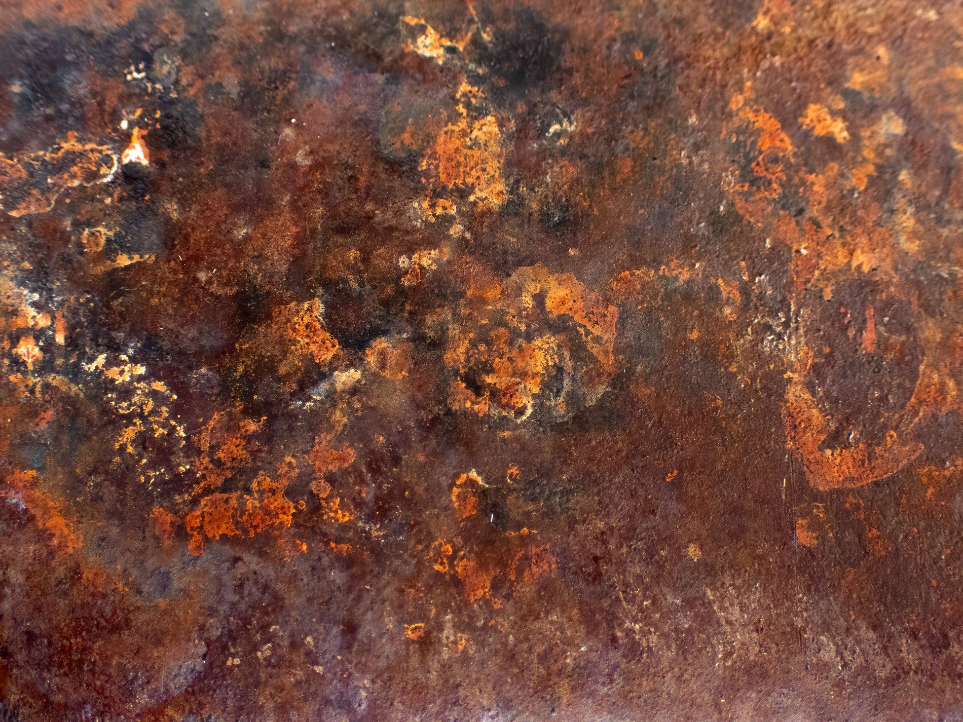 Orange flakes of iron, shadows bloom across the steel, time eats through the skin