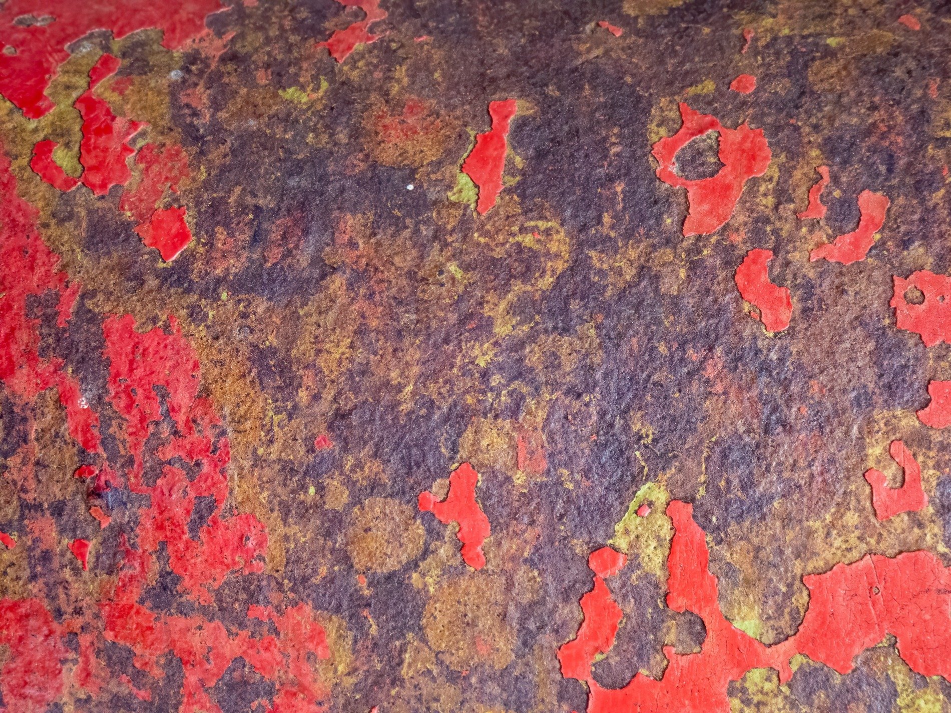 Red skin peels away, iron bleeds in shades of brown, time consumes the steel