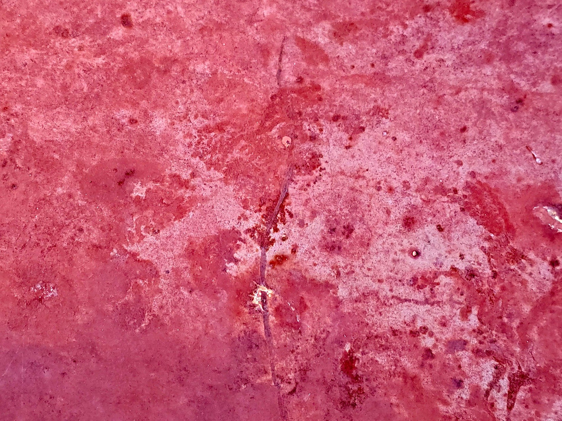 Red fields meet the light, mottled patterns trace the skin, light carves the metal