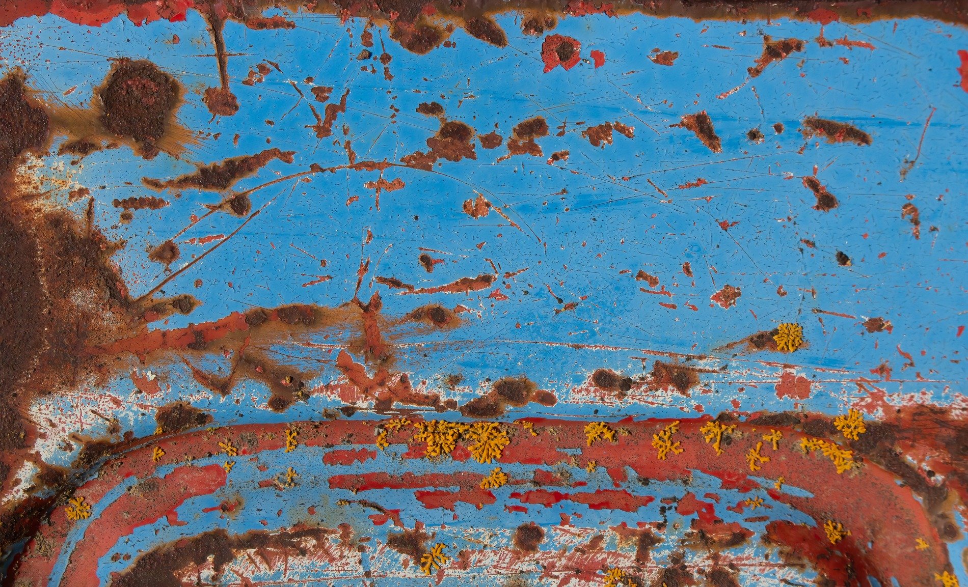 Blue paint flakes away, rust eats through the heavy steel, lichen claims the scar