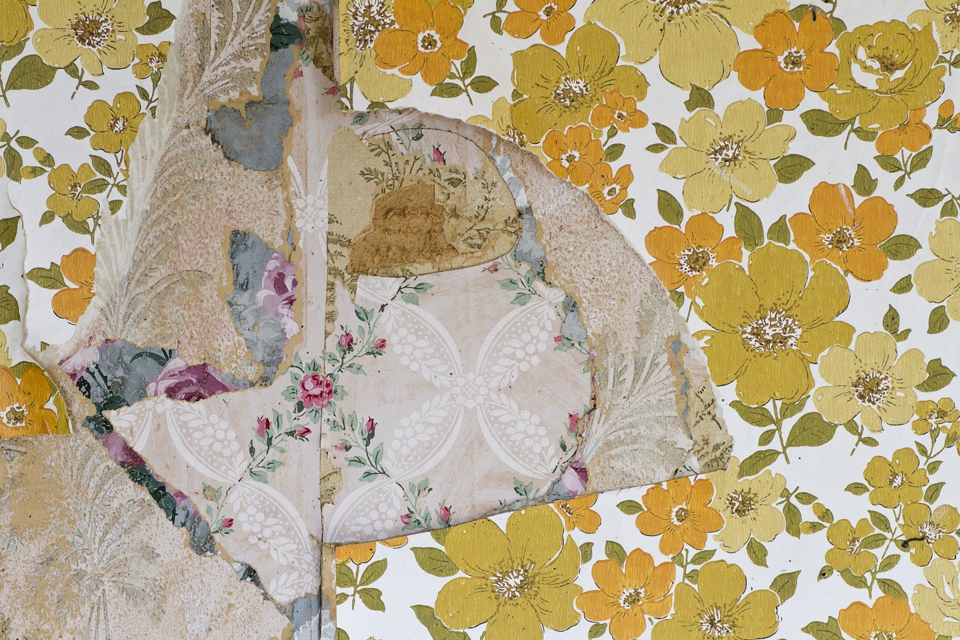 Red grains meet the grey, heavy ridges hold the field, time marks the fiber