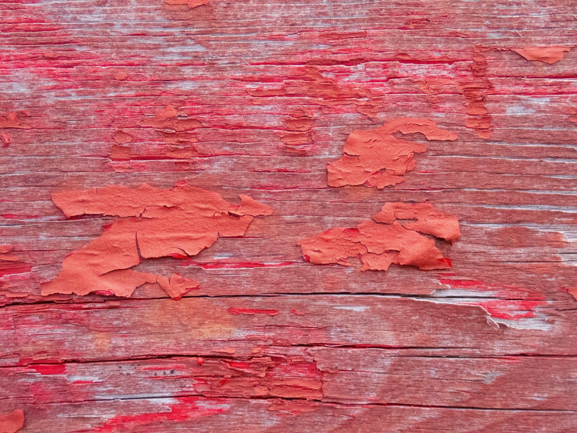 Red paint curls away, aged grain reveals its history, weather wears the board