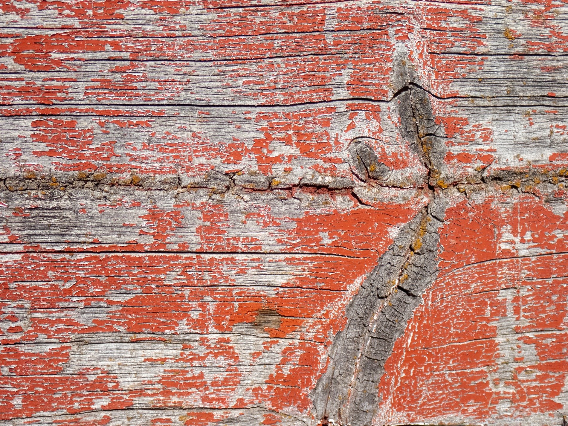 Red paint flakes away, grey wood splits through ancient grain, time scars deep the knot
