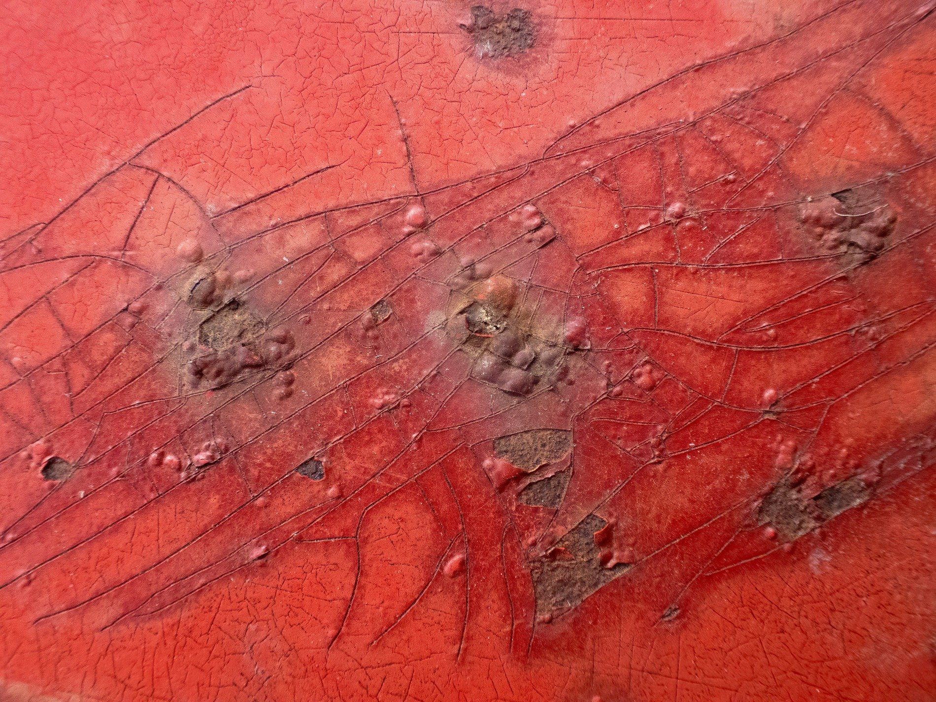 Red skin cracks and fades, bubbles rise from metal deep, rust claims the surface