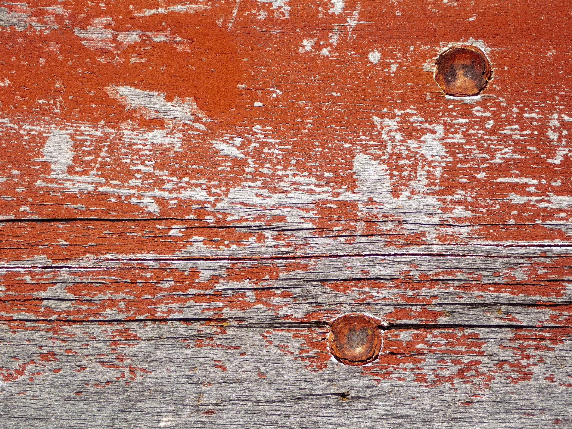 Red skin flakes away, rusty eyes watch the grey grain, time marks the old wood