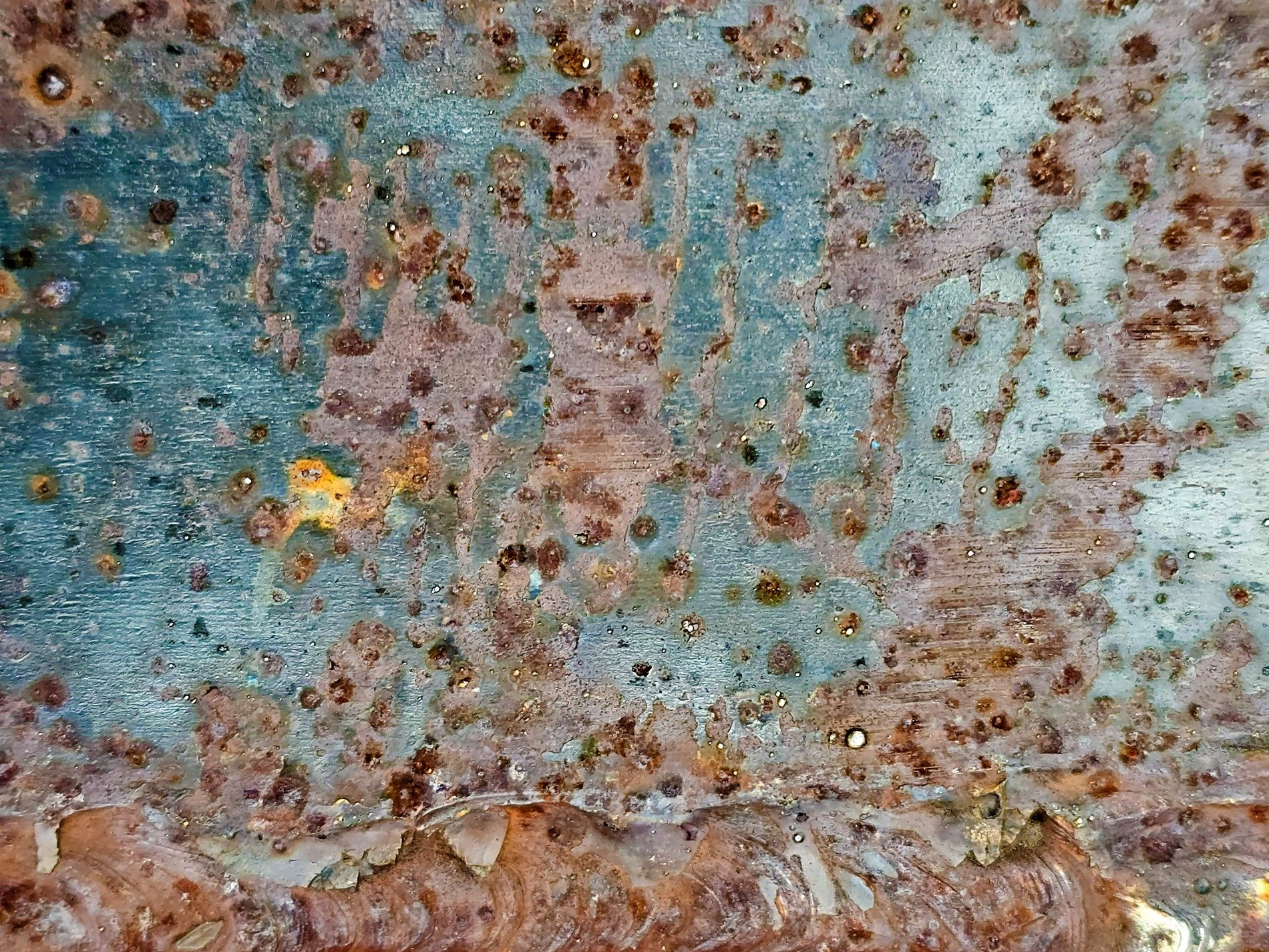 Red skin has jagged marks, deep gouges trace the field, light holds the pattern