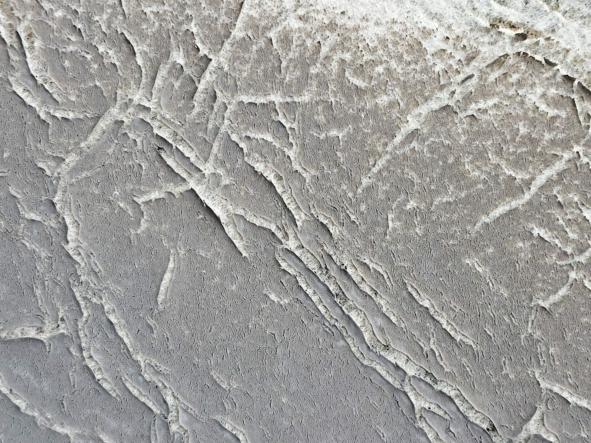 Ridges cut the gray, white veins trace a rugged path, stone echoes of time