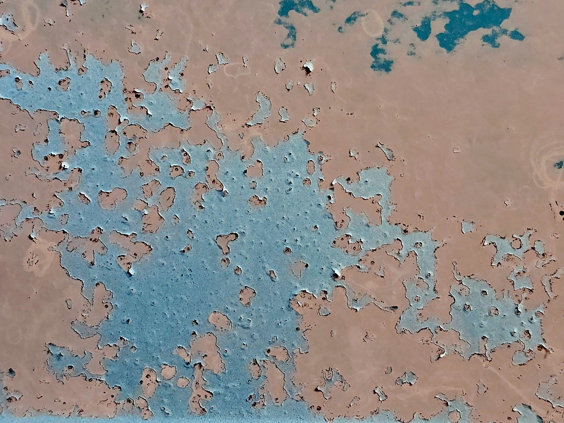 Rose skin peels away, teal depths reveal silent scars, weathered layers fade