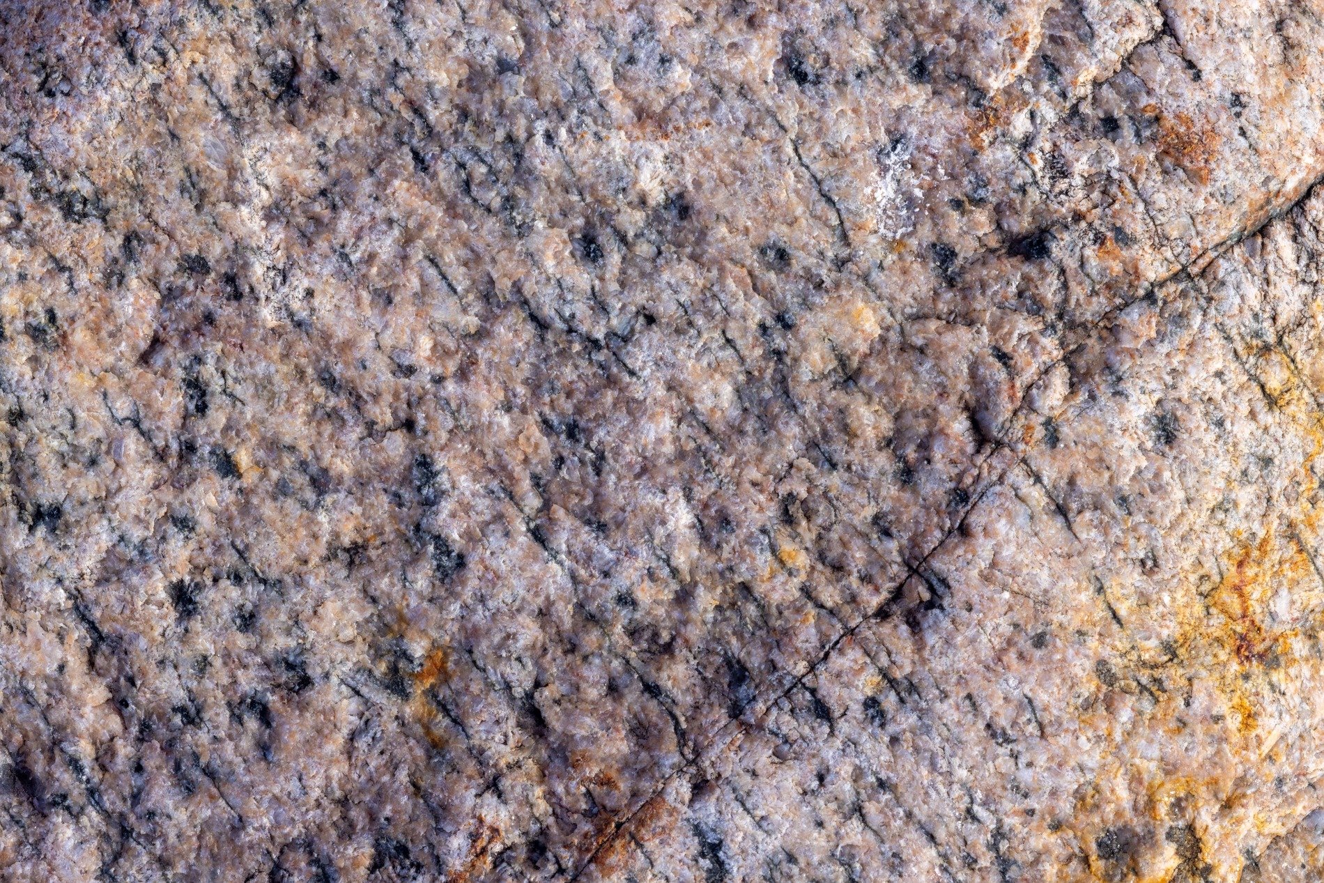 Rough and speckled stone, ancient cracks divide the face, colors of the earth