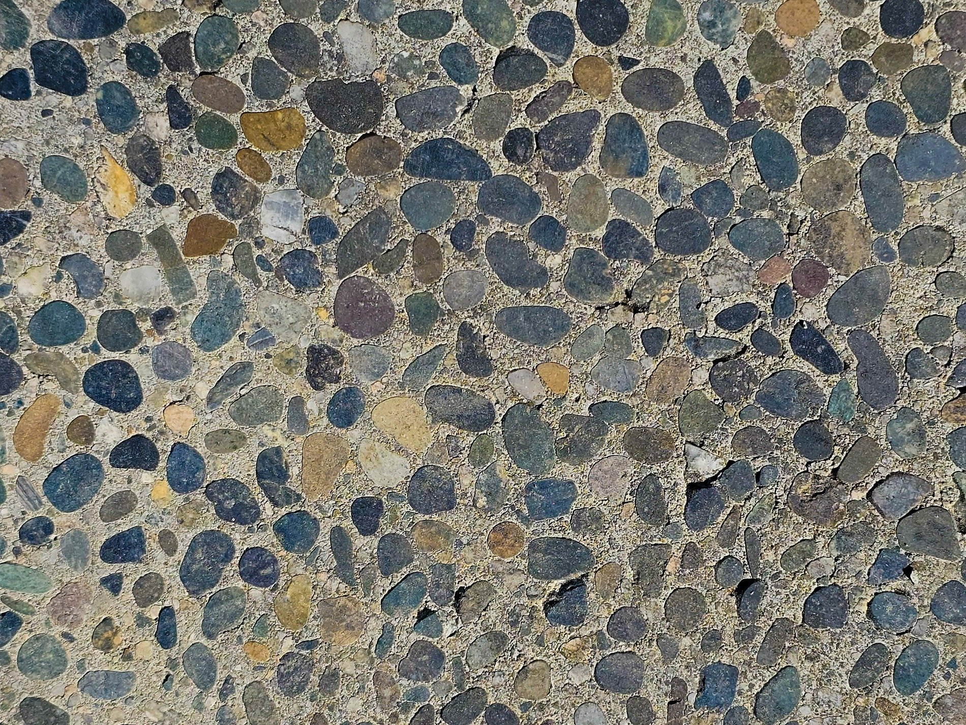 Rough skin holds the light, grey grains meet the heavy field, weather wears the line