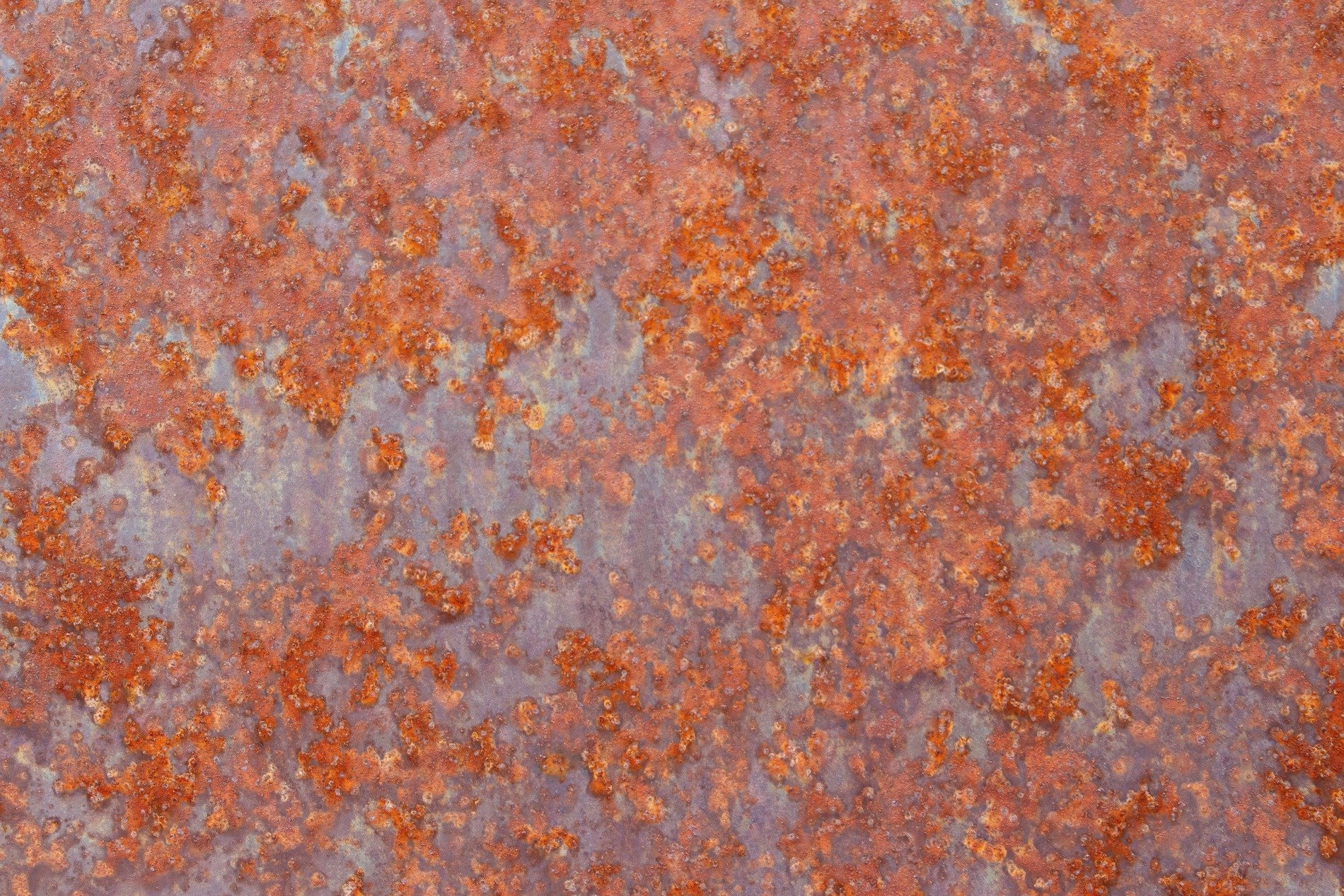 Rust blooms like fire, iron yields to the damp air, metal falls away