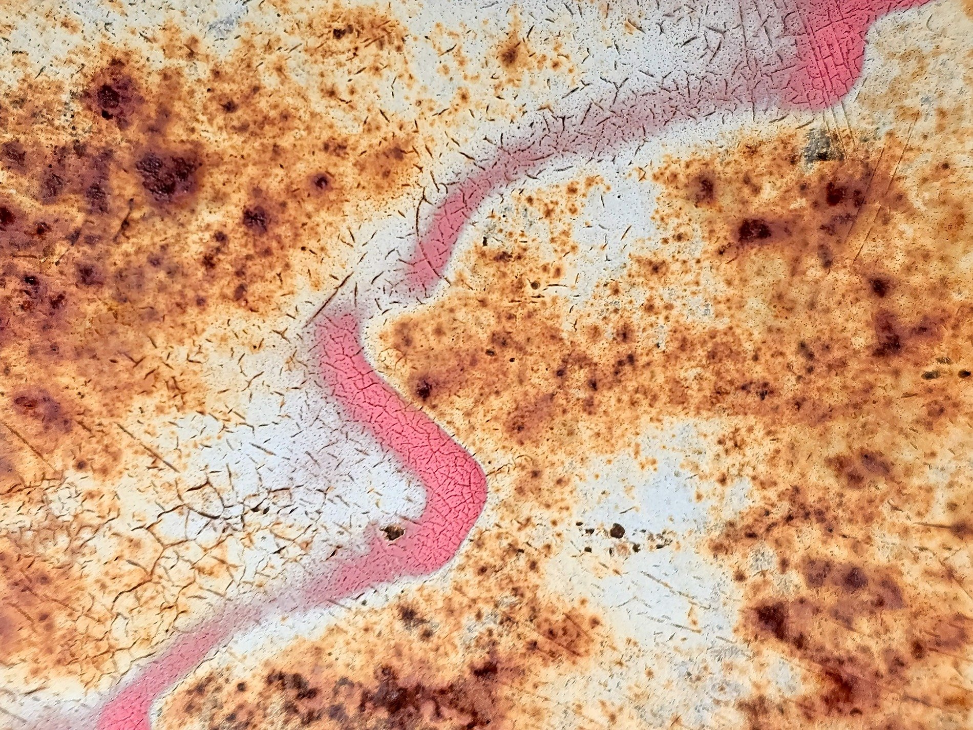 Rust blooms on the steel, pink curves wind through cracked white paint, time decays the surface