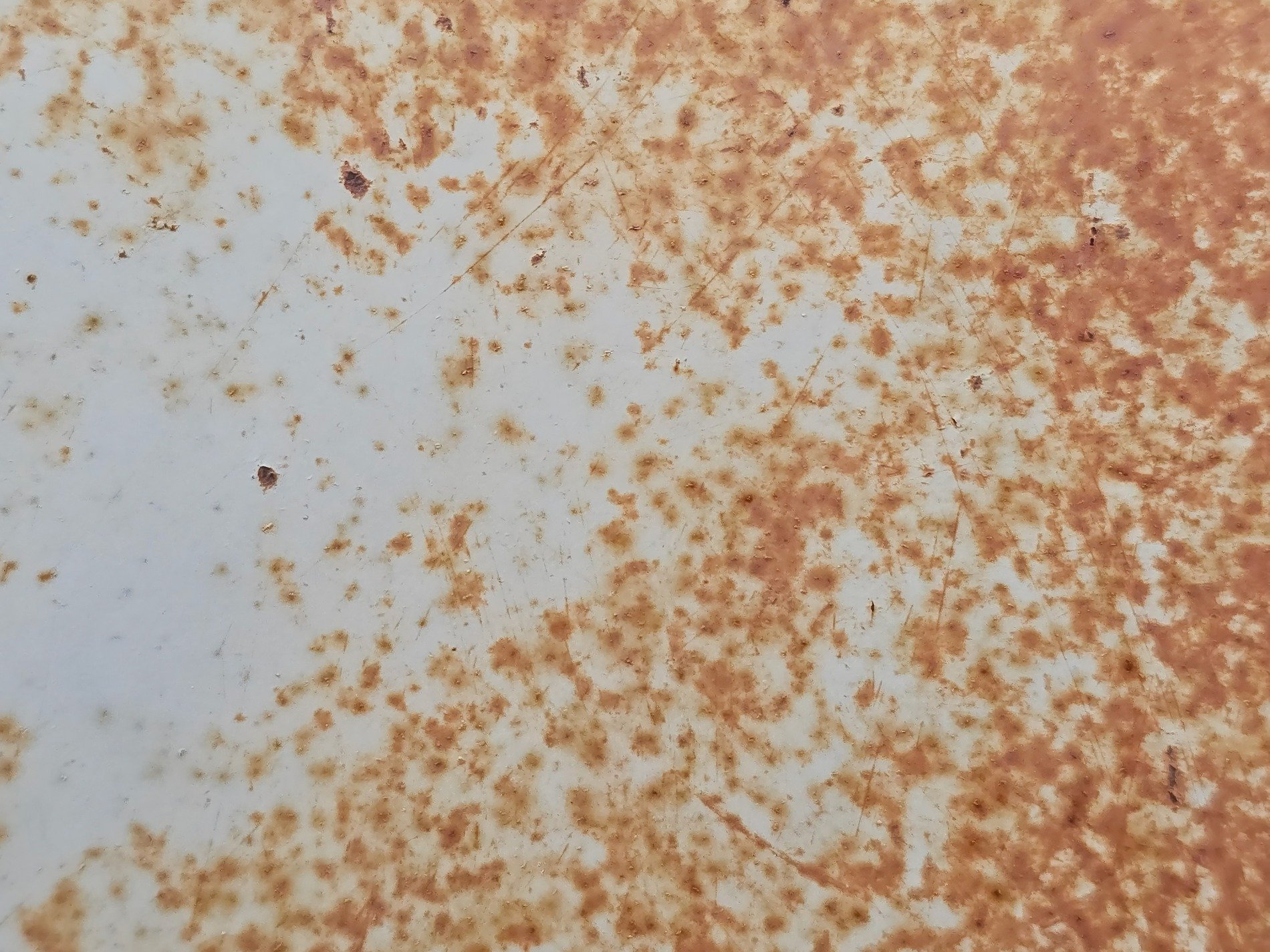 Rust blooms on the white, iron flakes in orange hues, steel yields to the air