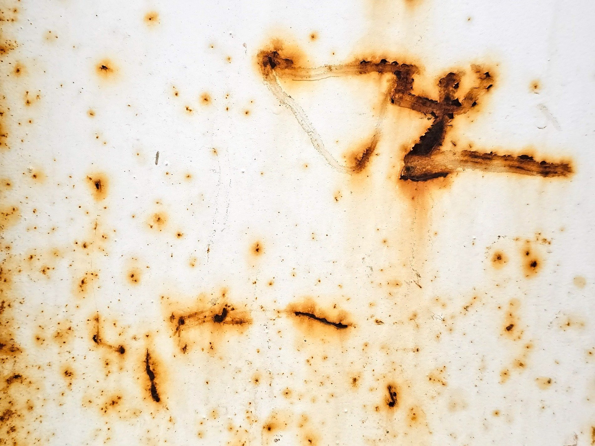 Rust blooms on the white, iron scars the painted sheet, metal starts to turn