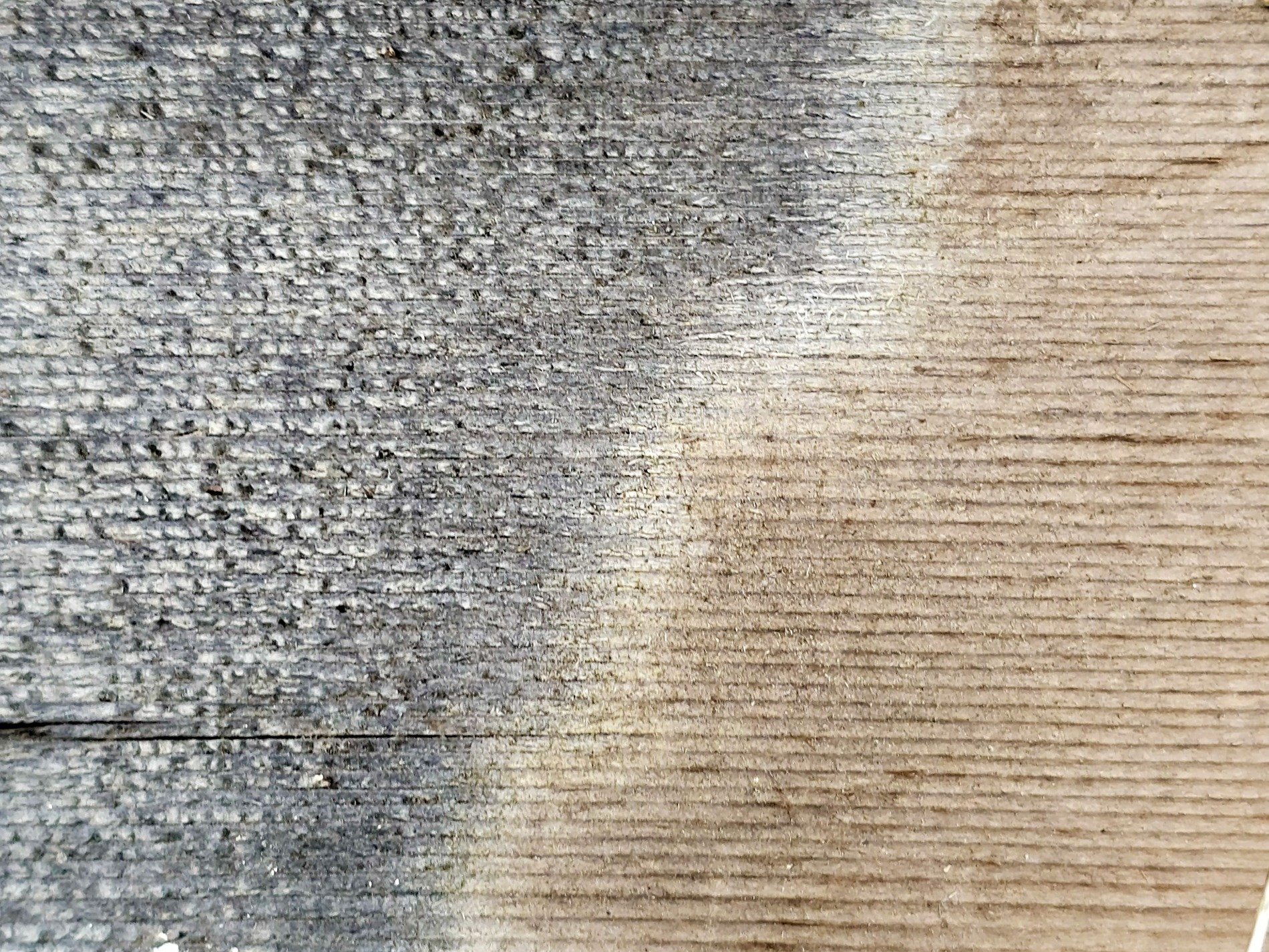 Silver grain flows deep, jagged lines hold the surface, weather wears the heart