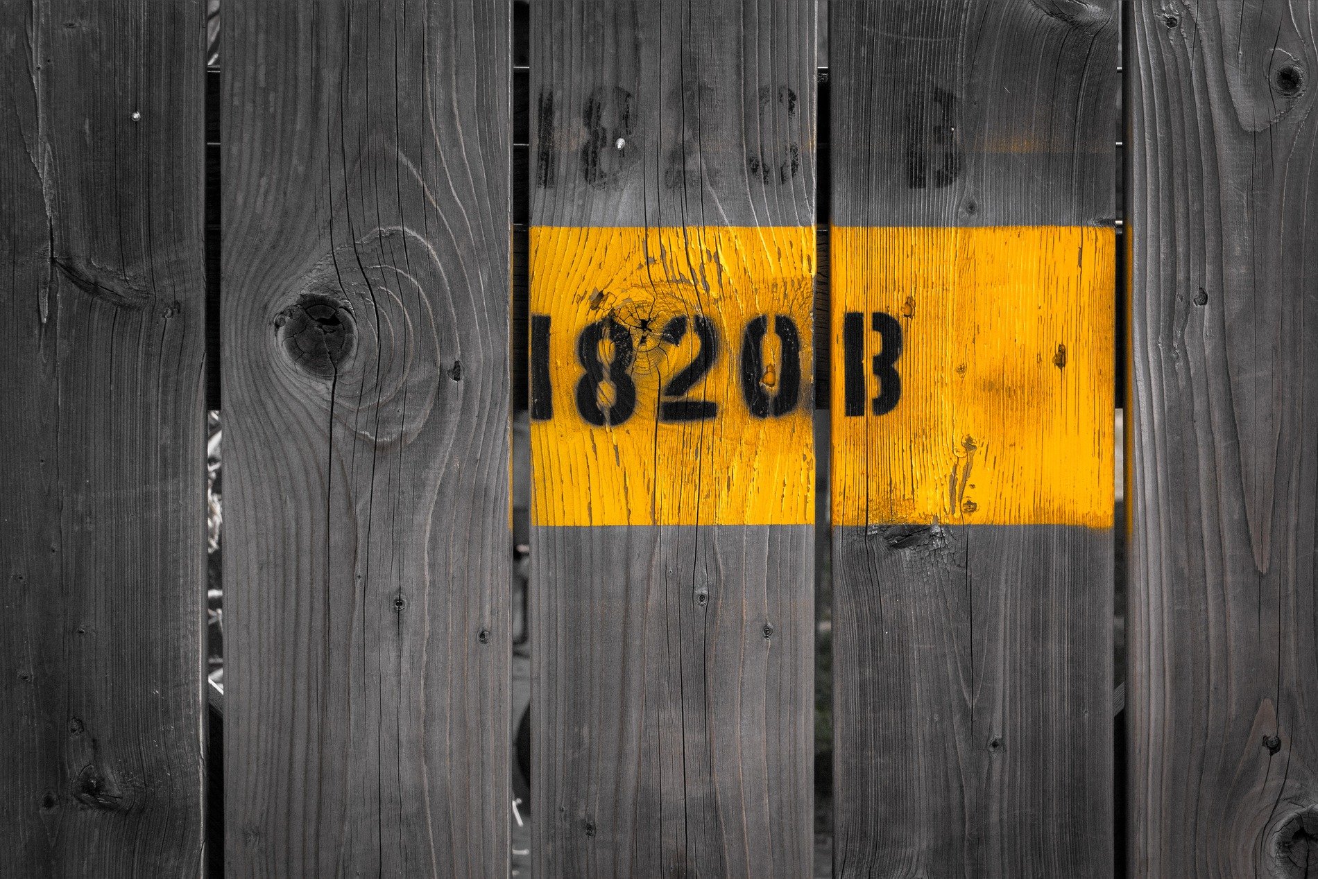 Silver ridges flow, pale marks stay in the deep grain, time carves the finish