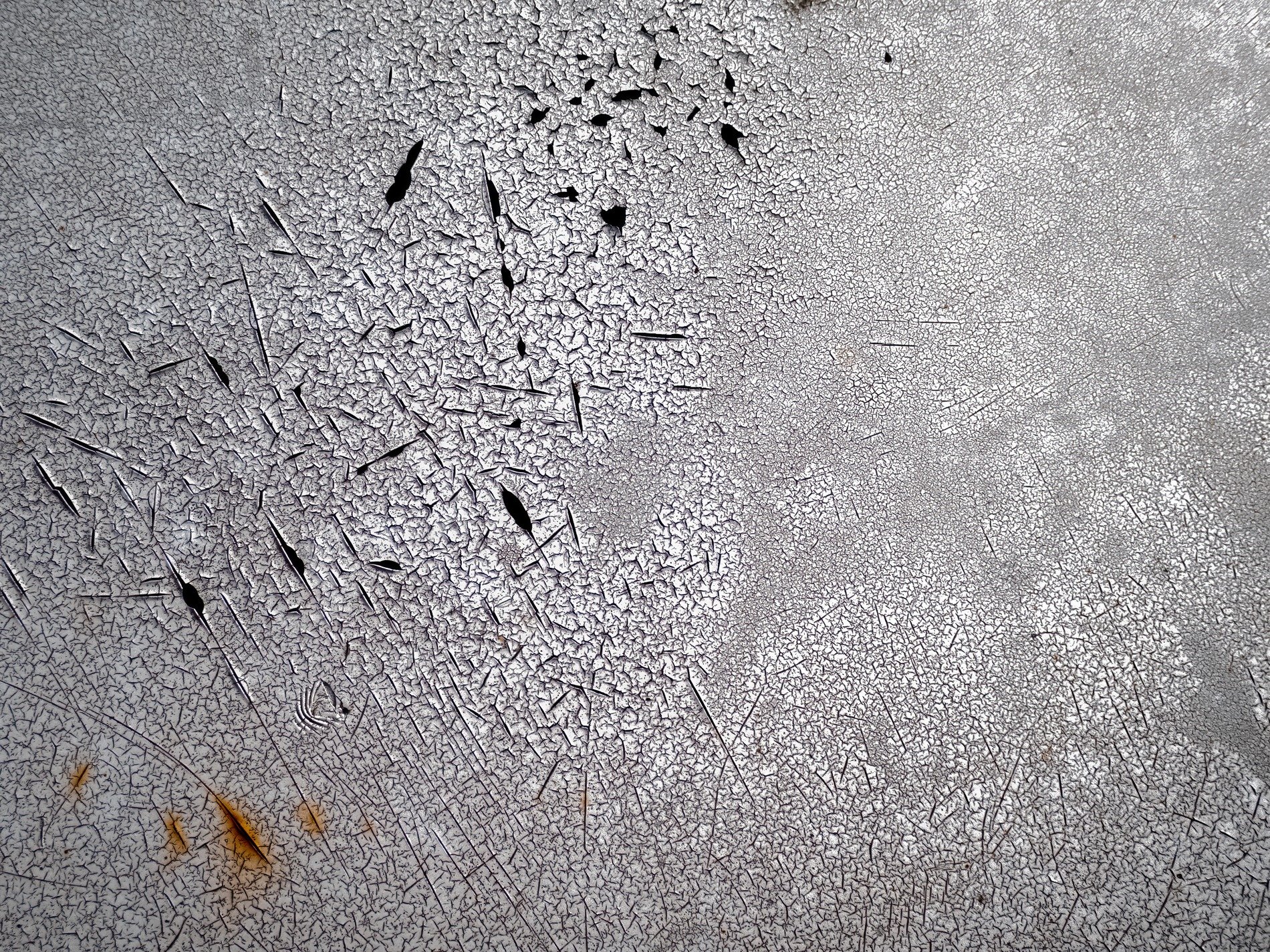Silver skin cracks fast, jagged lines trace the field, rust shows at the edge