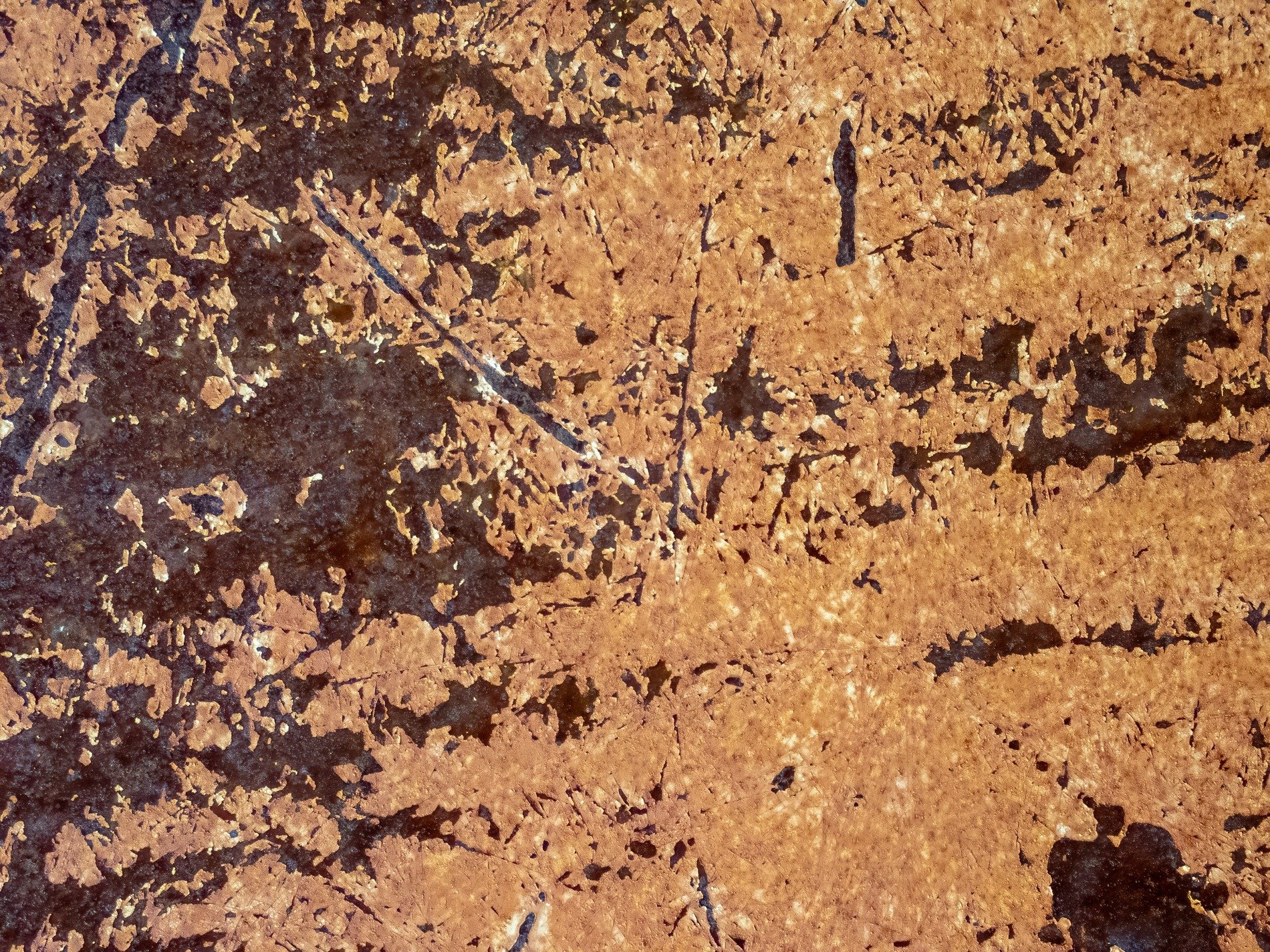 Silver skin has dark paths, vertical marks trace the field, grit marks the finish