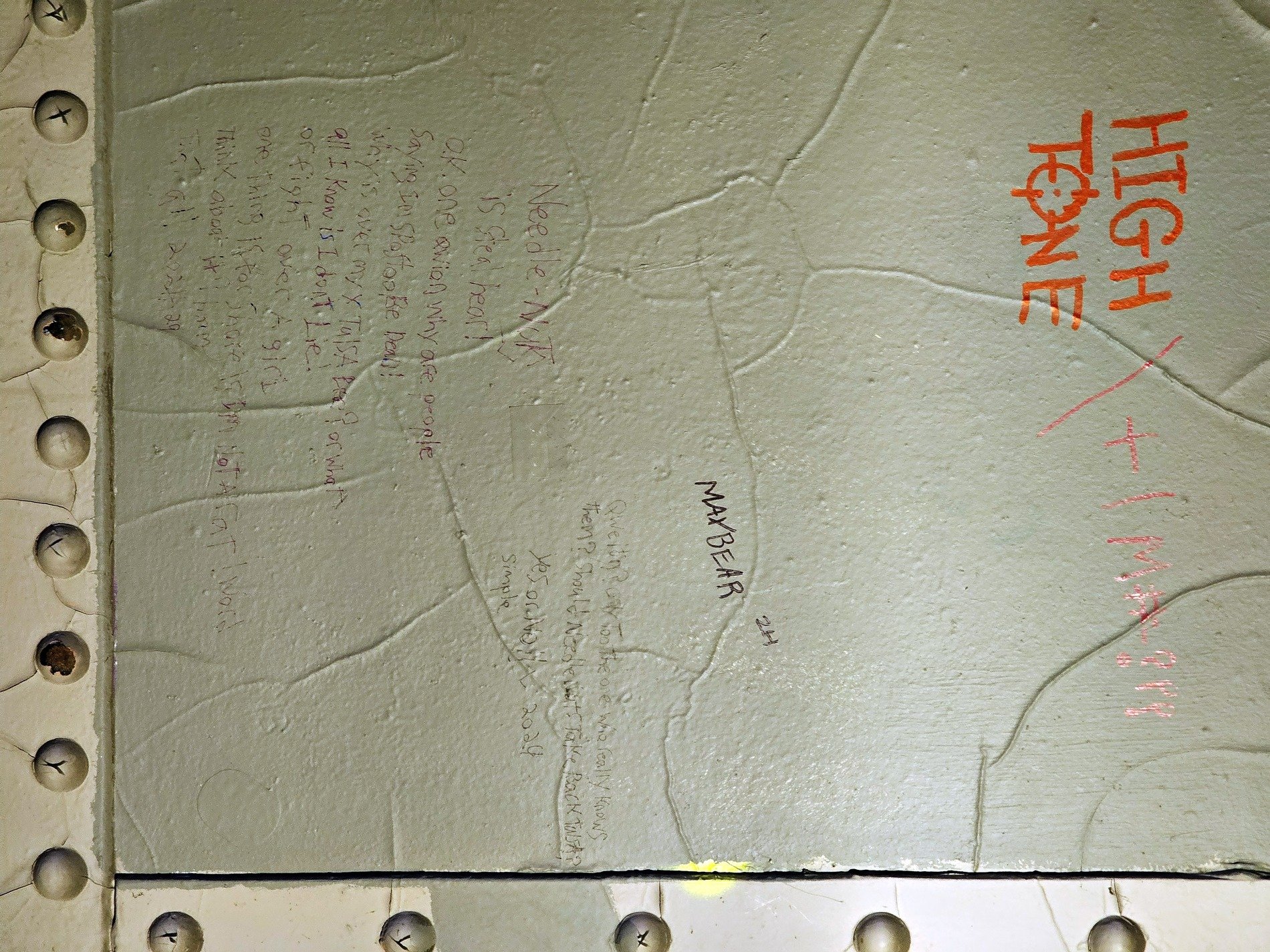 Silver skin has marks, jagged lines trace the surface, light holds the pattern