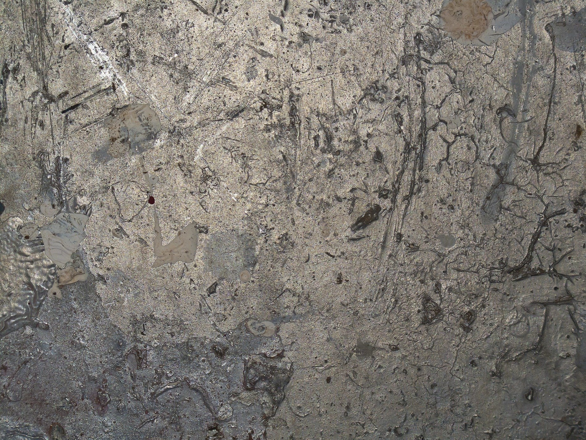 Silver skin holds fast, jagged lines trace the field, old marks leave a trace