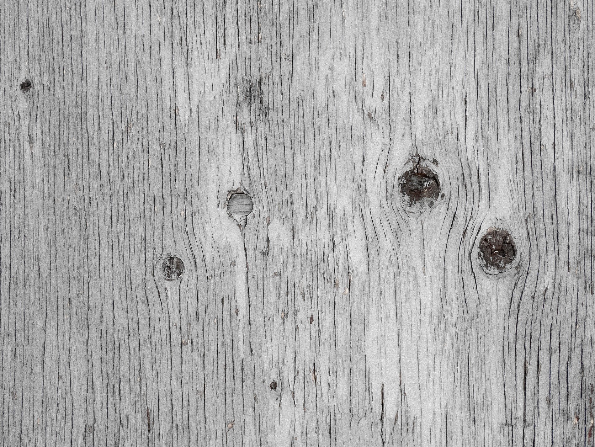 Silvered grain runs deep, dark knots stare through the texture, time cracks the old board