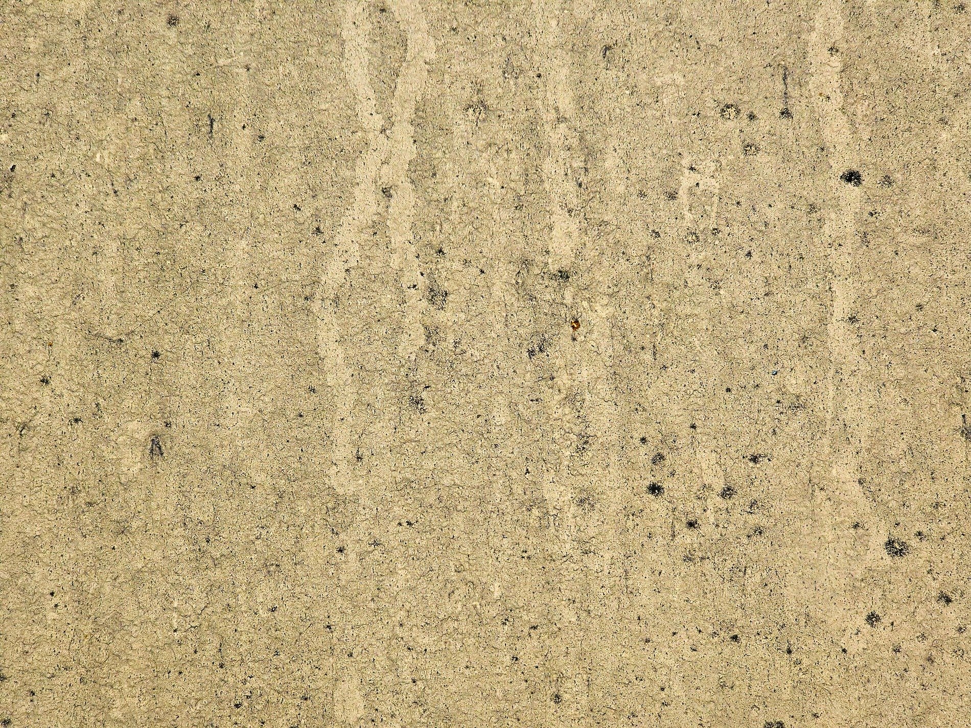 Tan fibers entwined, dark spots mark the weathered face, liquid paths remain