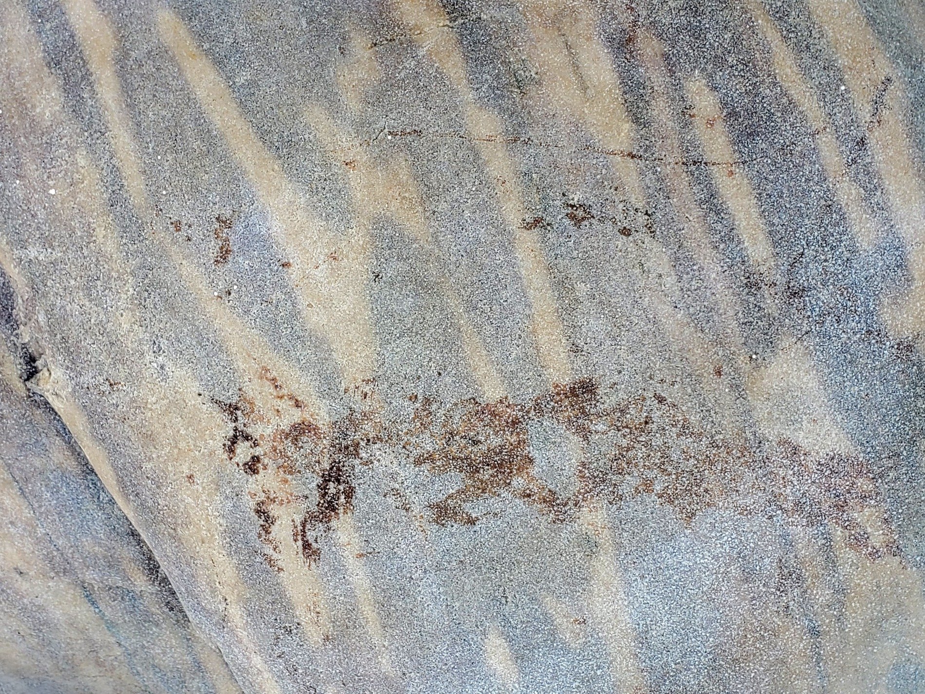 Tan fields meet the dark, jagged spots bleed through the skin, grit marks the finish