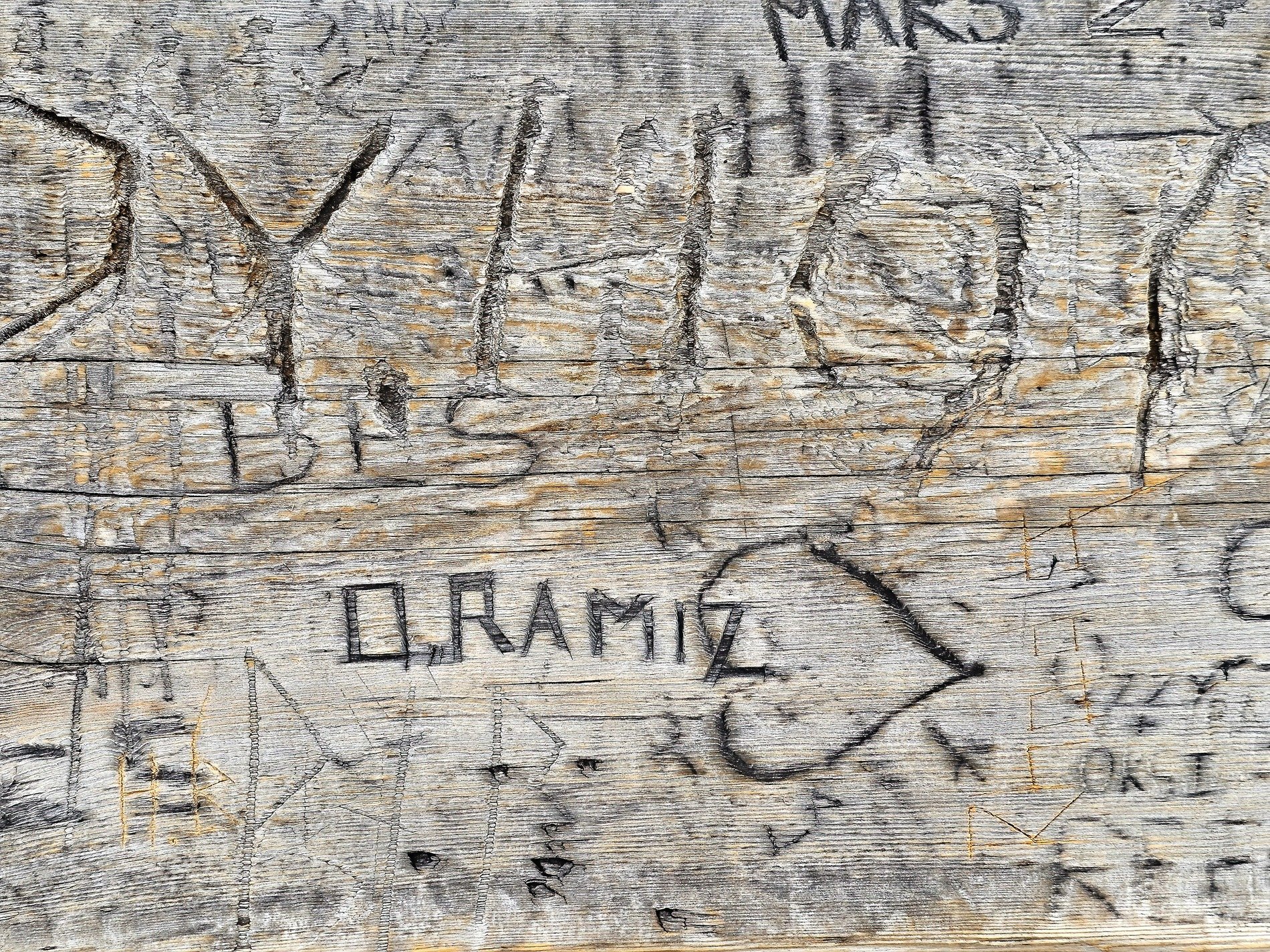 Tan grain carves the path, deep ridges trace the heavy wood, light marks the skin