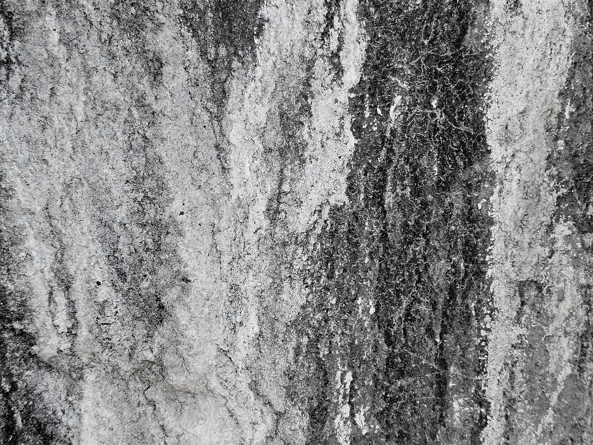 Tan grit holds the dark, vertical lines trace the field, nature marks the steel